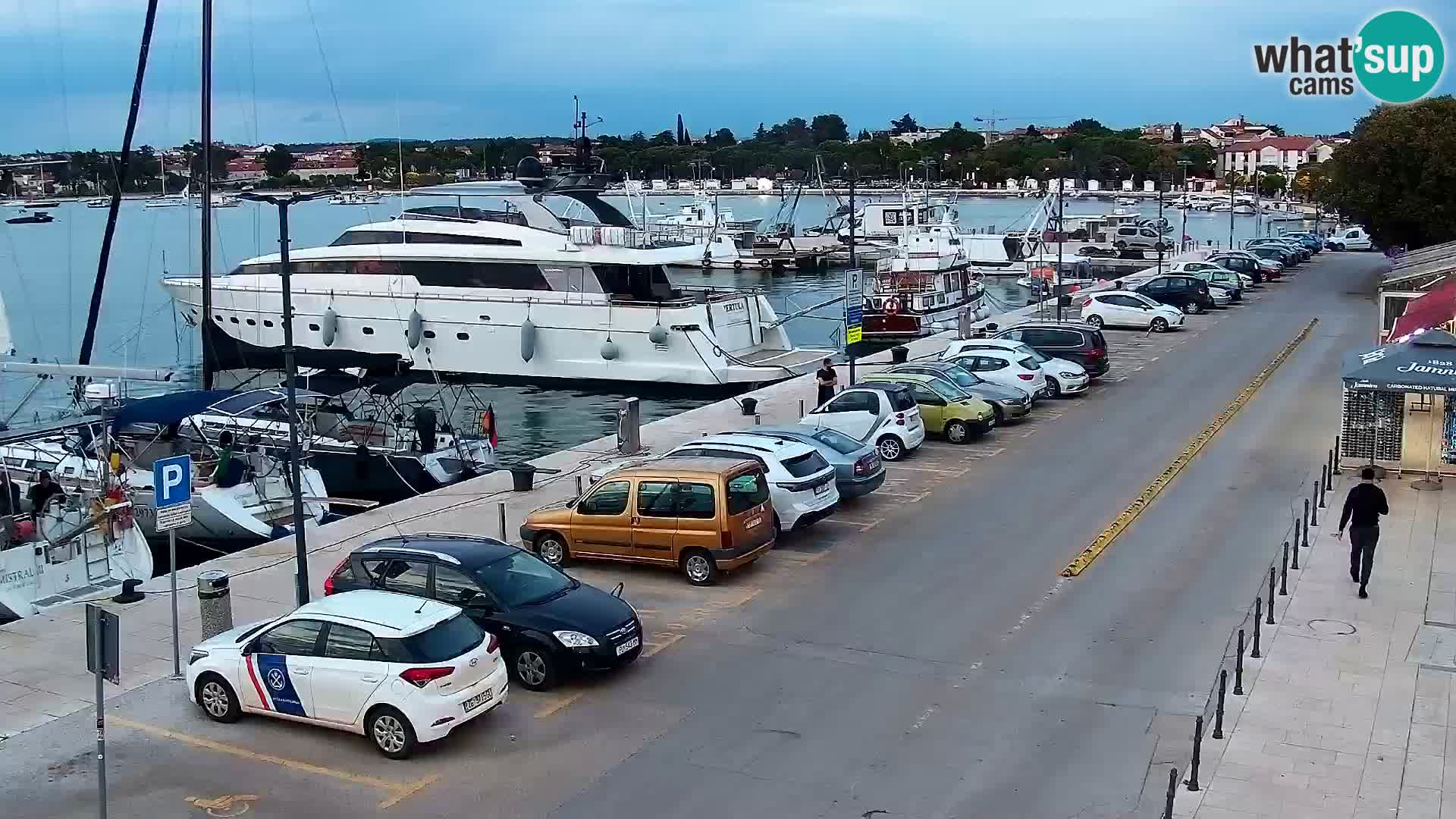 Webcam Umag – Puerto