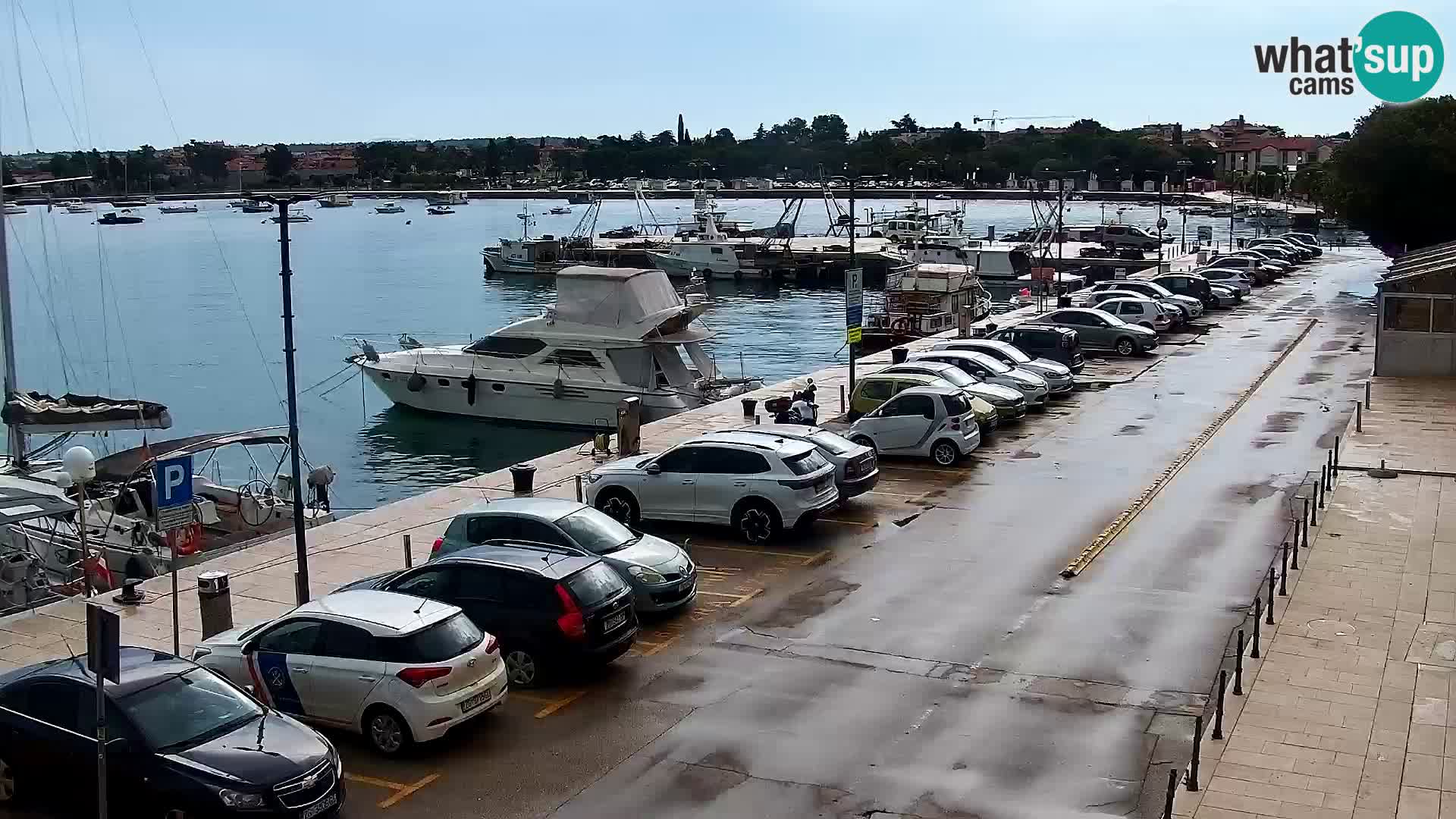 Trg Svobode – Kamera v živo Umag