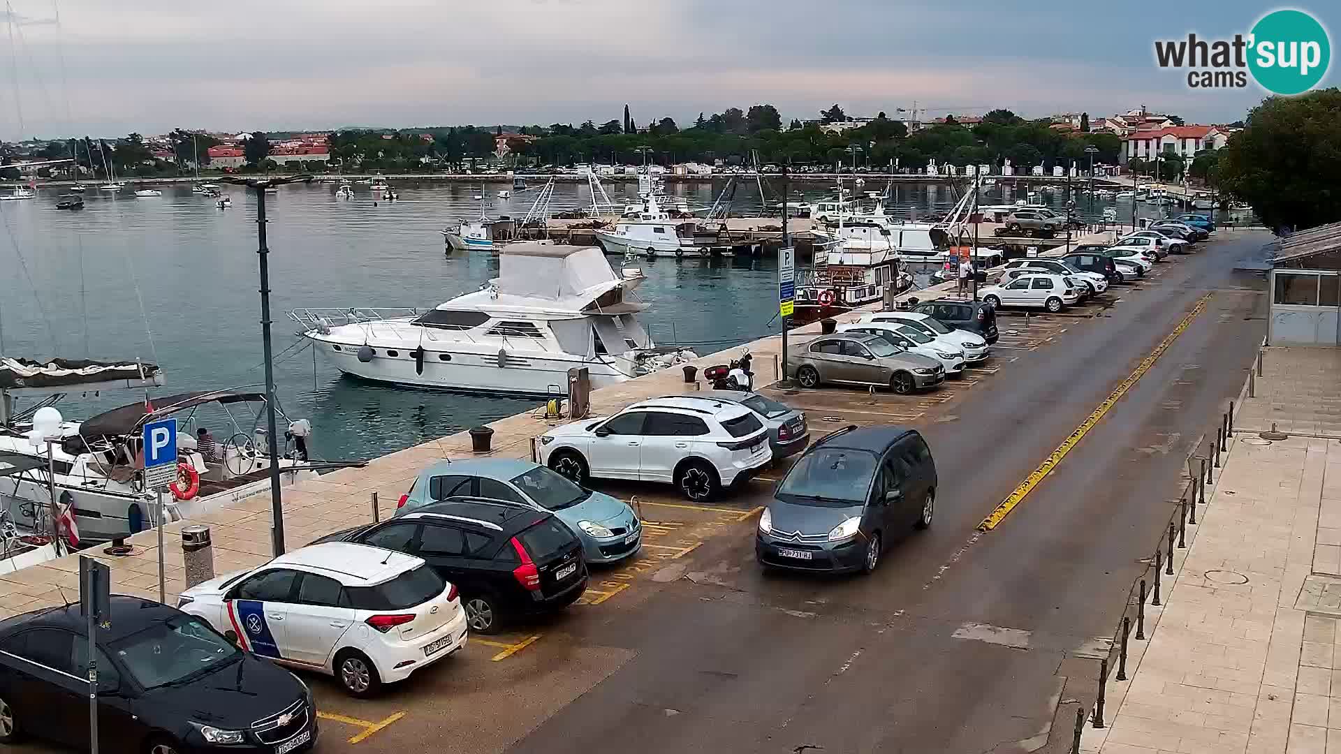 Webcam Umag – Puerto