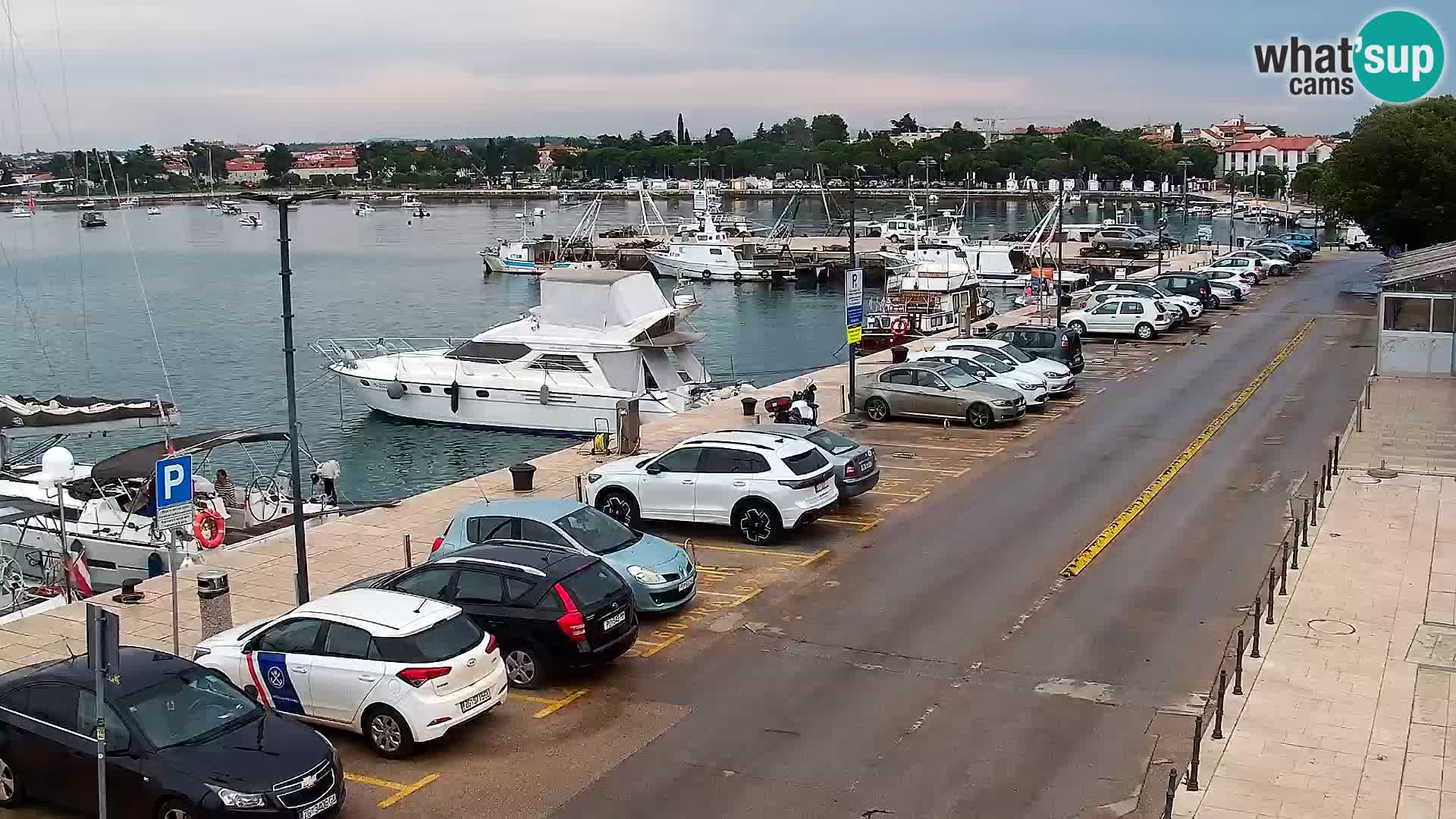 Webcam live Umag – port