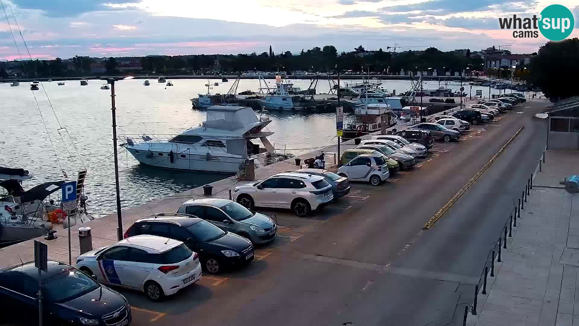 Webcam Umag – Puerto