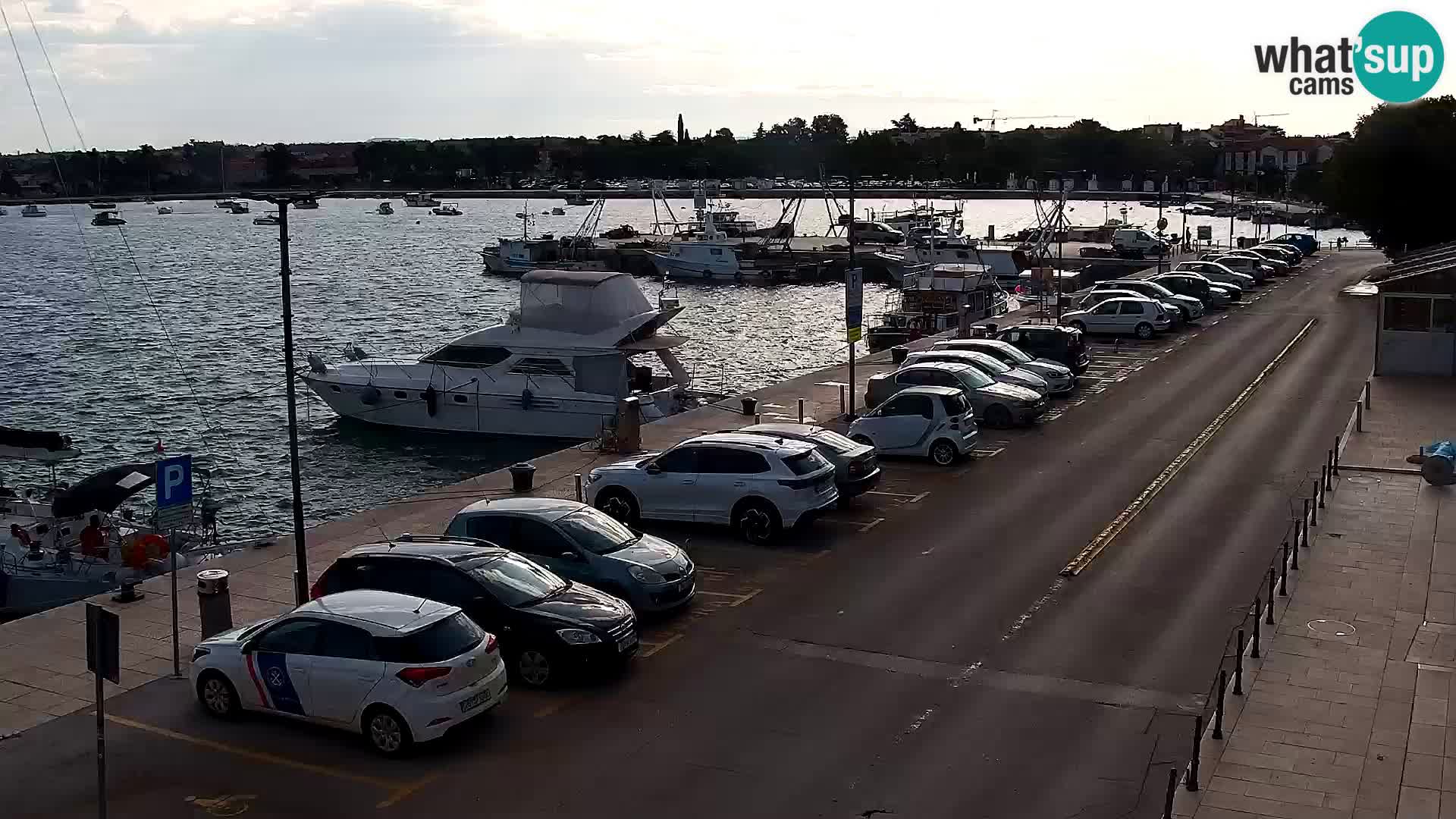 Trg Svobode – Kamera v živo Umag