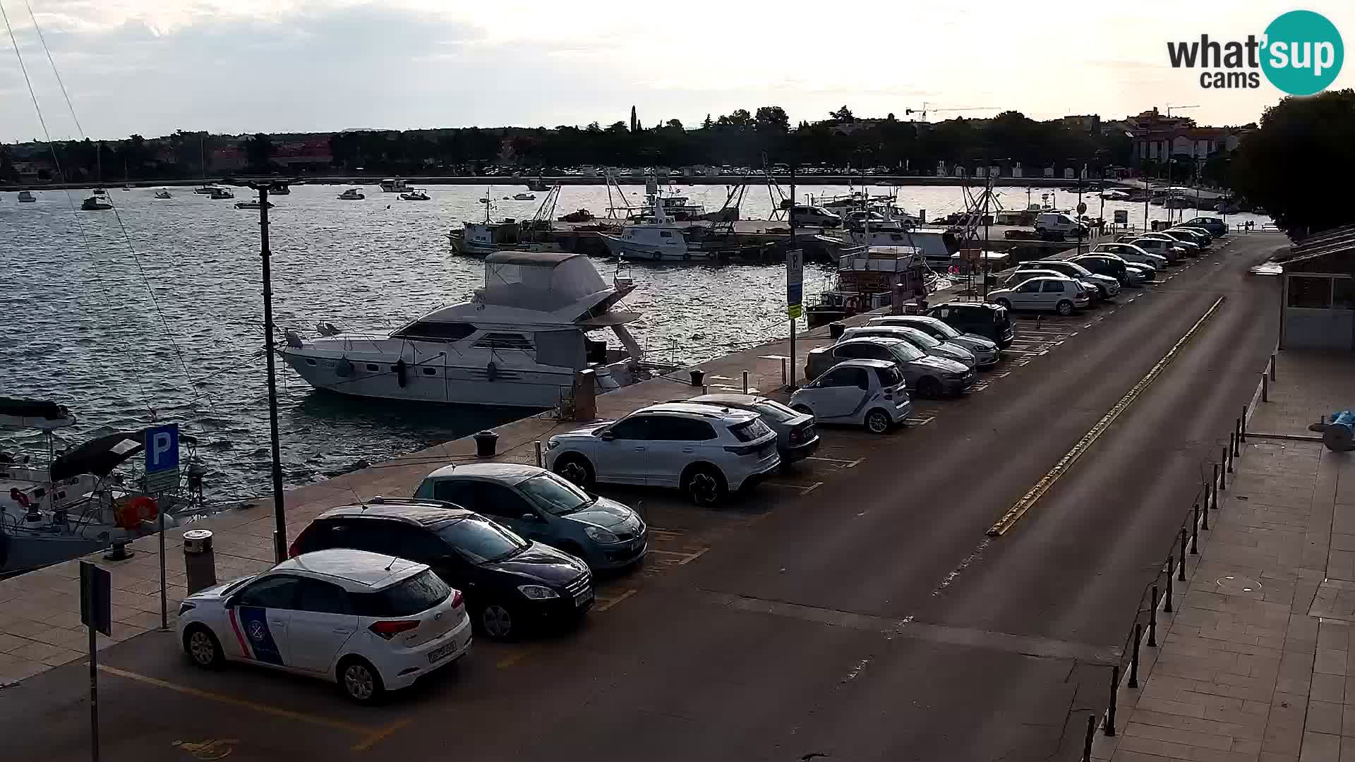 Webcam Umag – Puerto