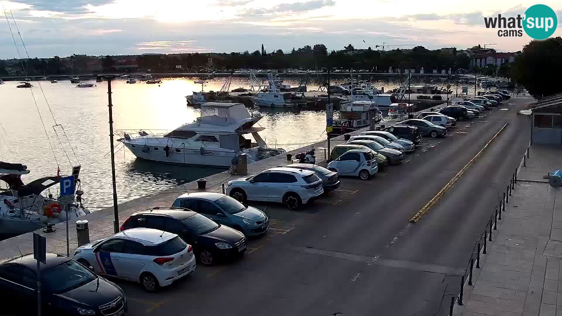 Webcam live Umag – Hafen