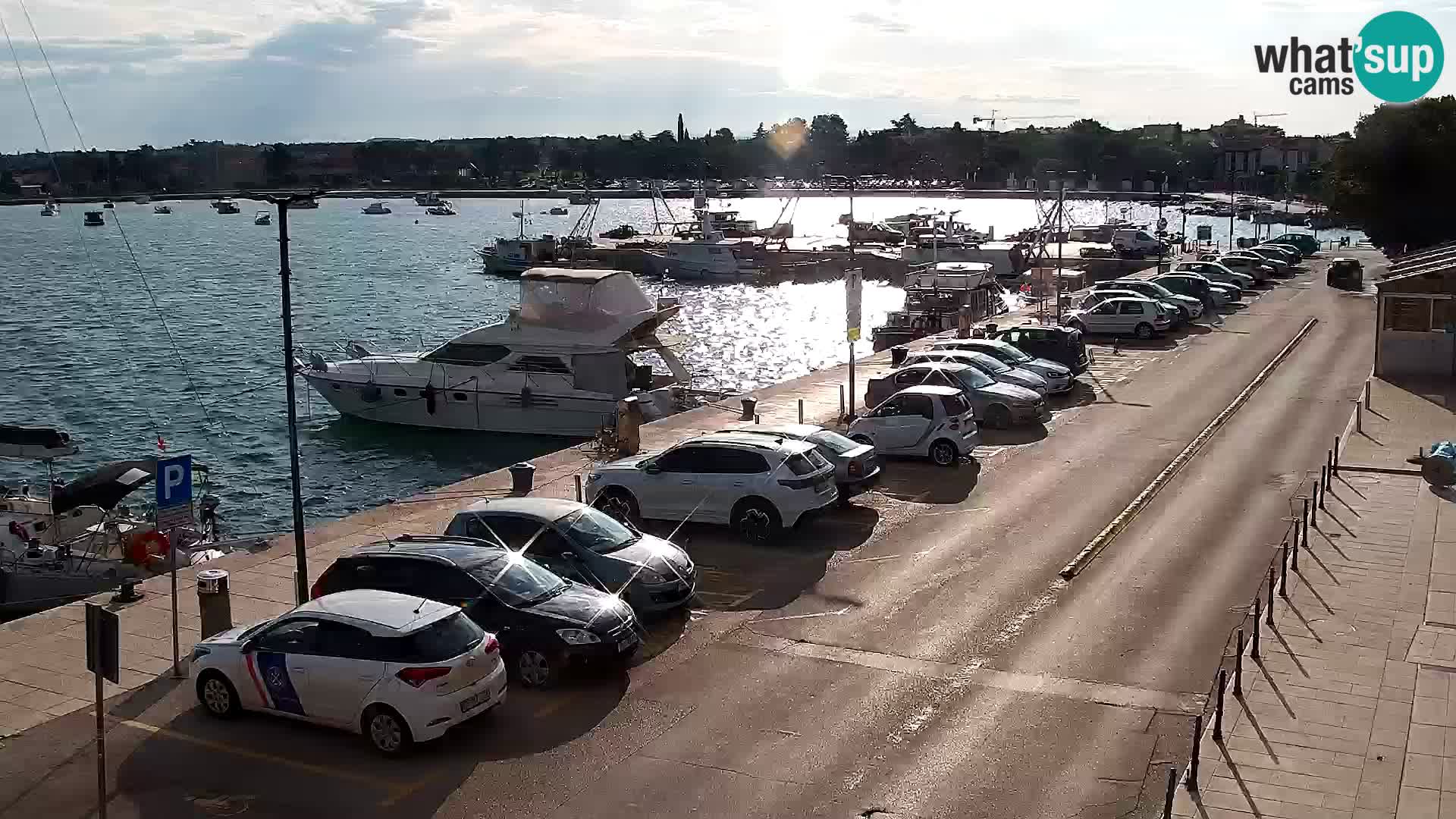 Trg Svobode – Kamera u živo Umag