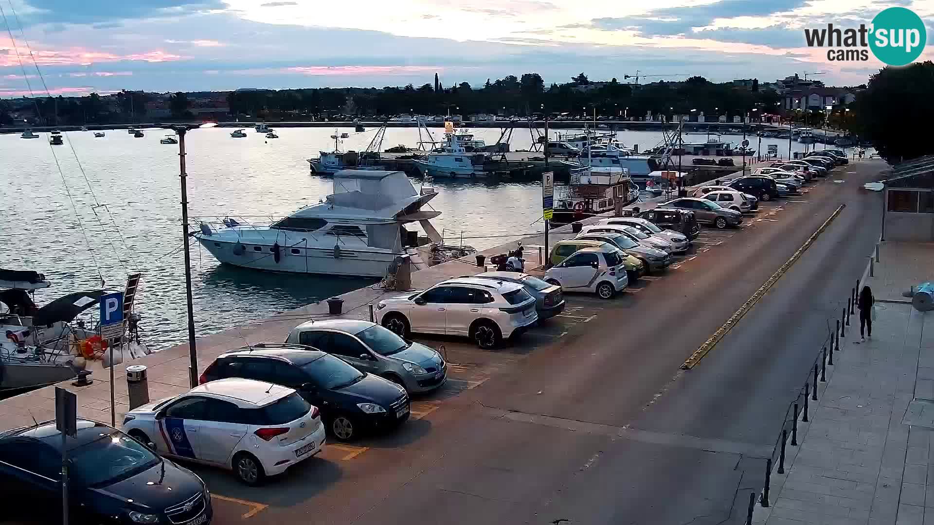 Webcam Umag – Puerto