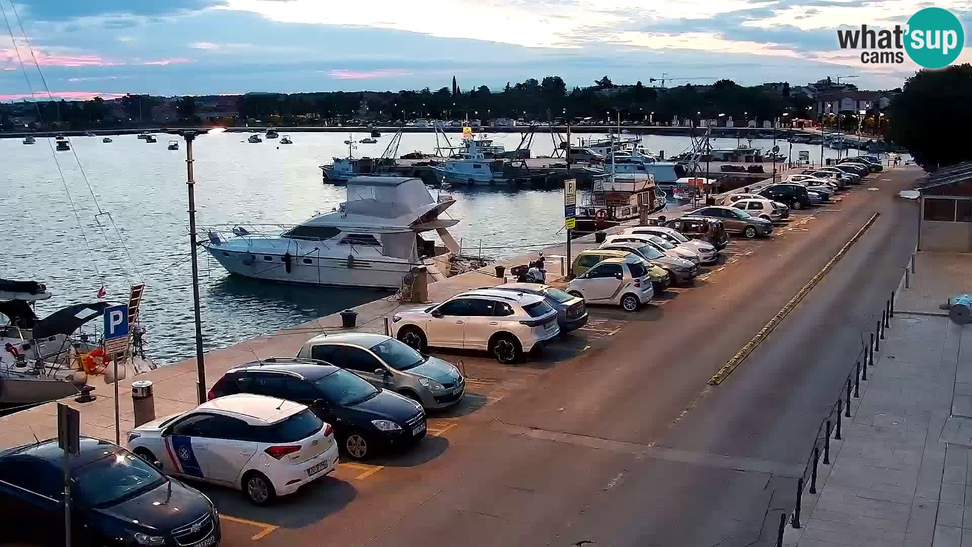 Webcam Umag – Puerto