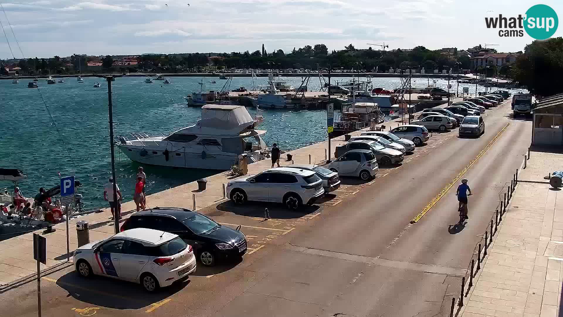 Webcam Umag – Puerto