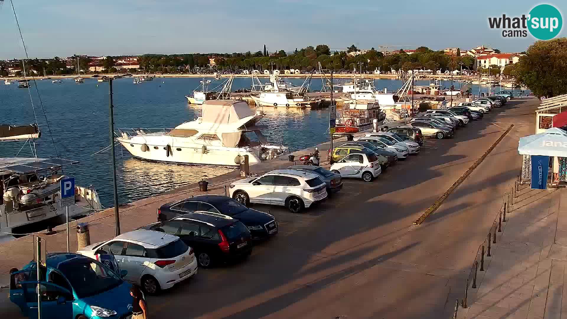 Webcam live Umag – Hafen