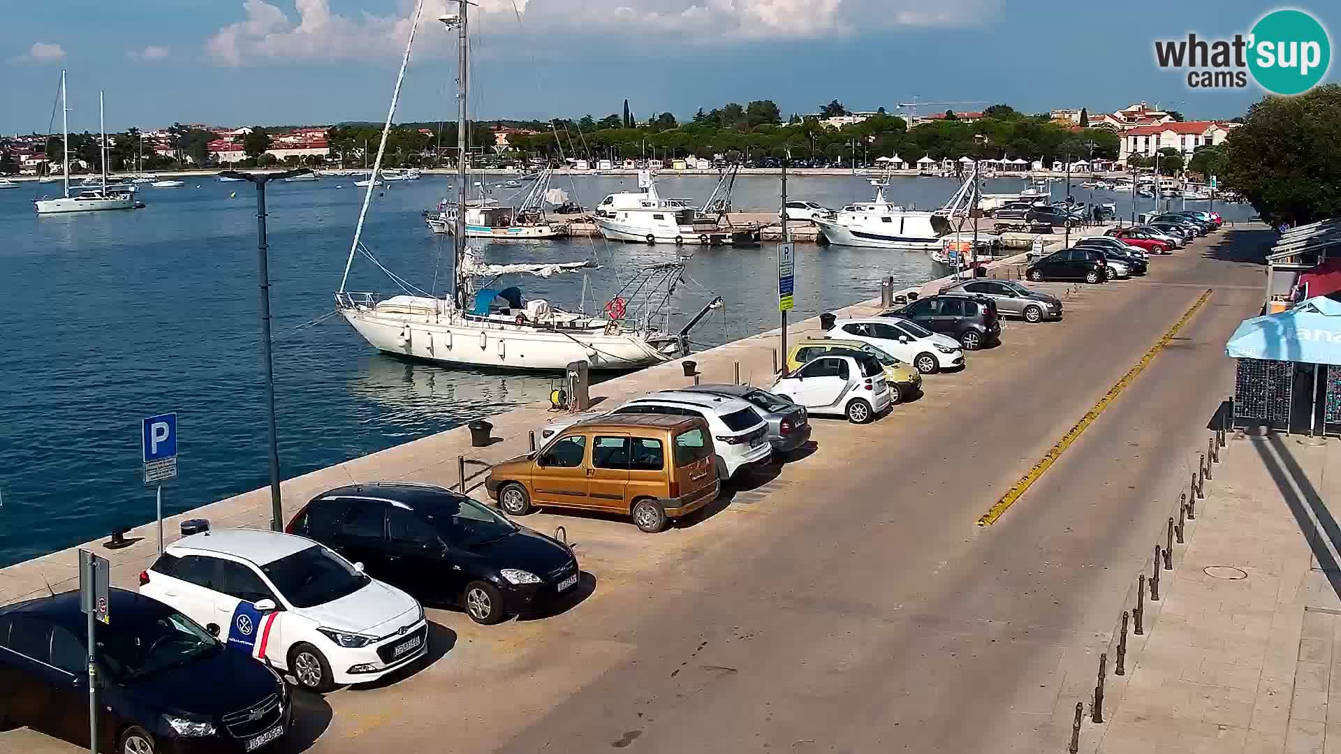 Webcam Umag – Puerto