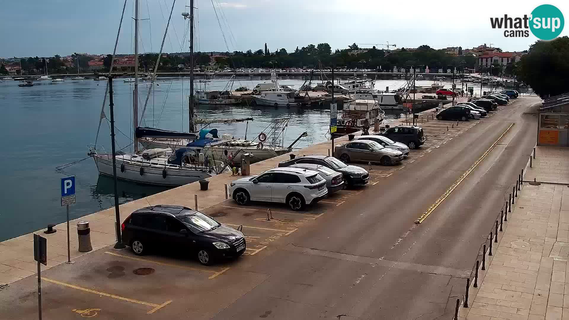 Trg Svobode – Kamera v živo Umag