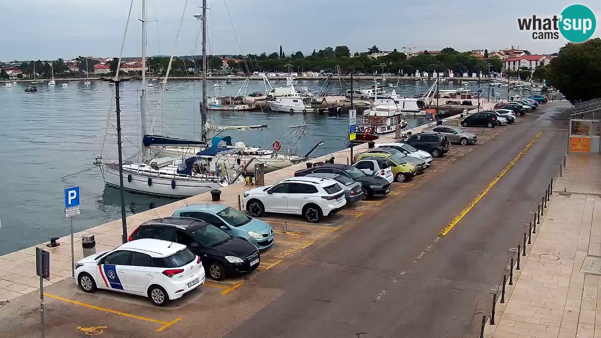 Trg Svobode – Kamera u živo Umag