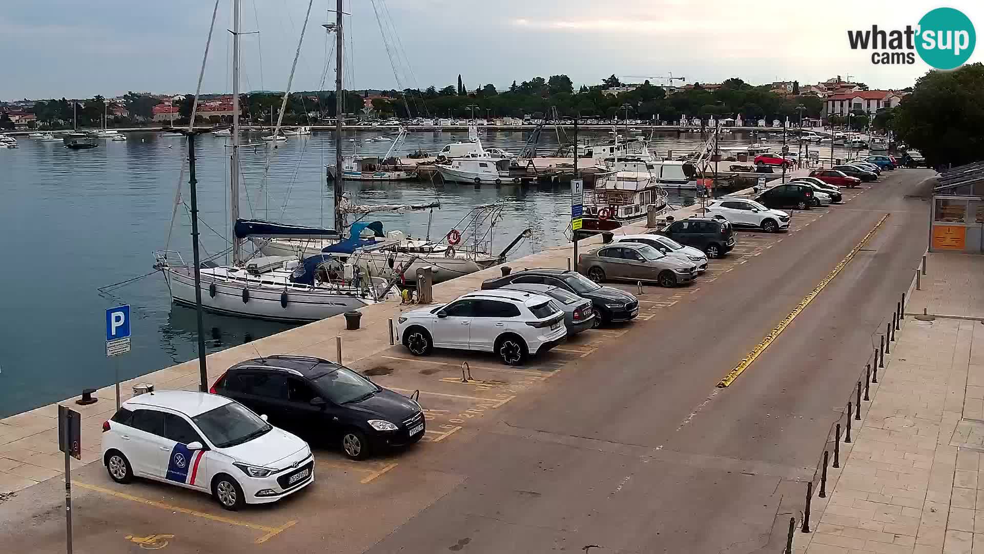 Trg Svobode – Kamera v živo Umag