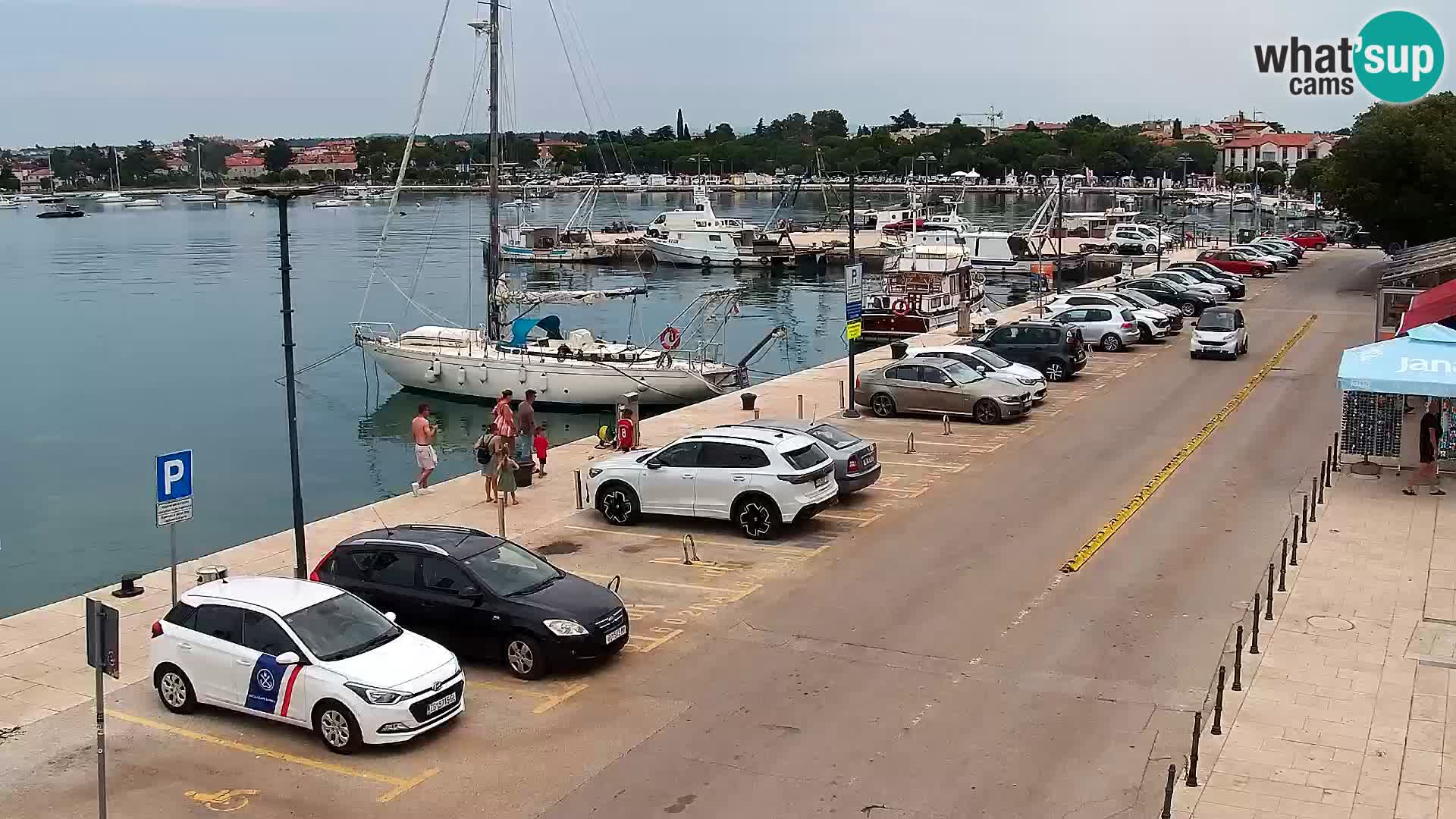 Webcam live Umag – Hafen