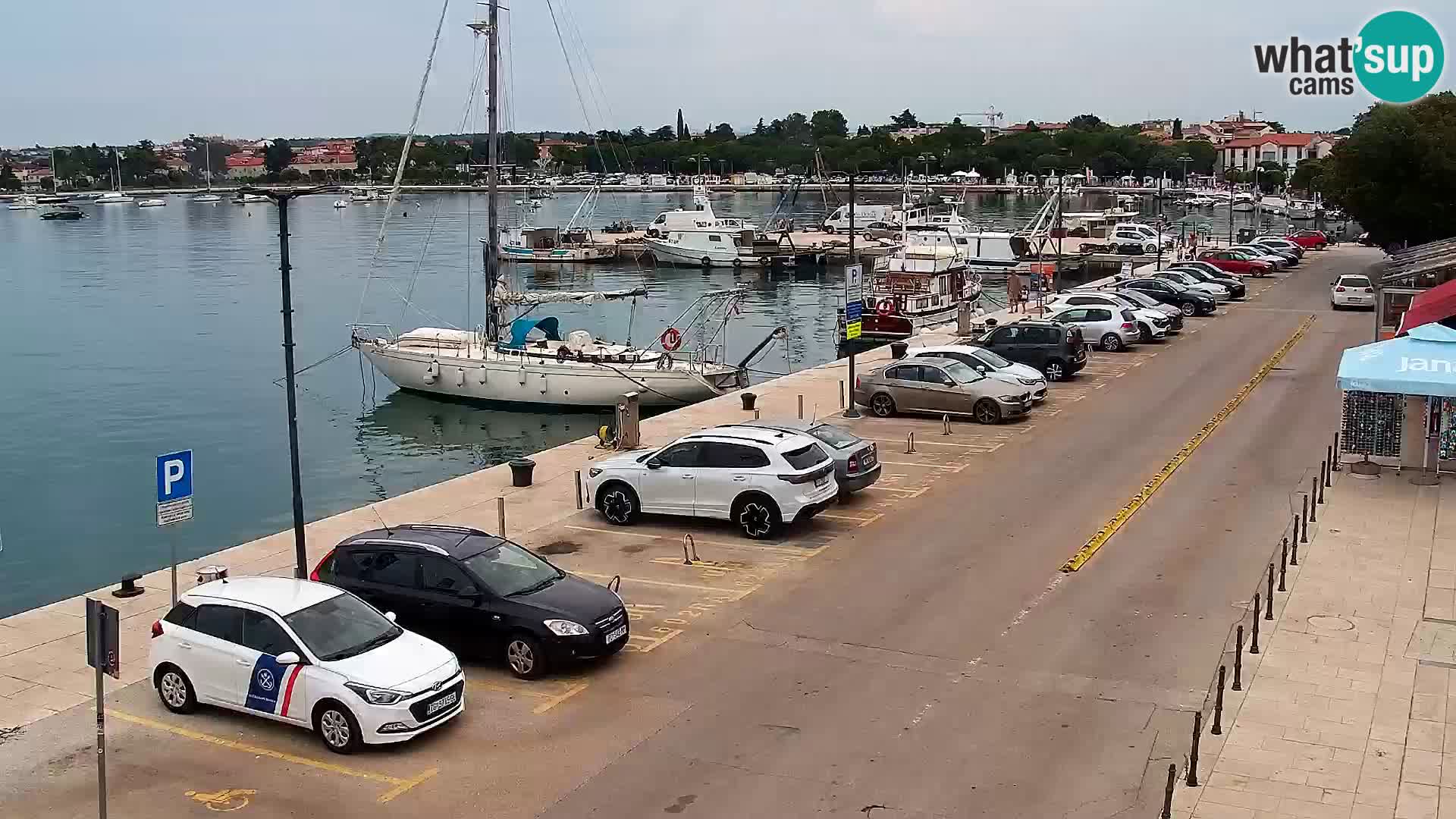 Webcam Umag – Puerto