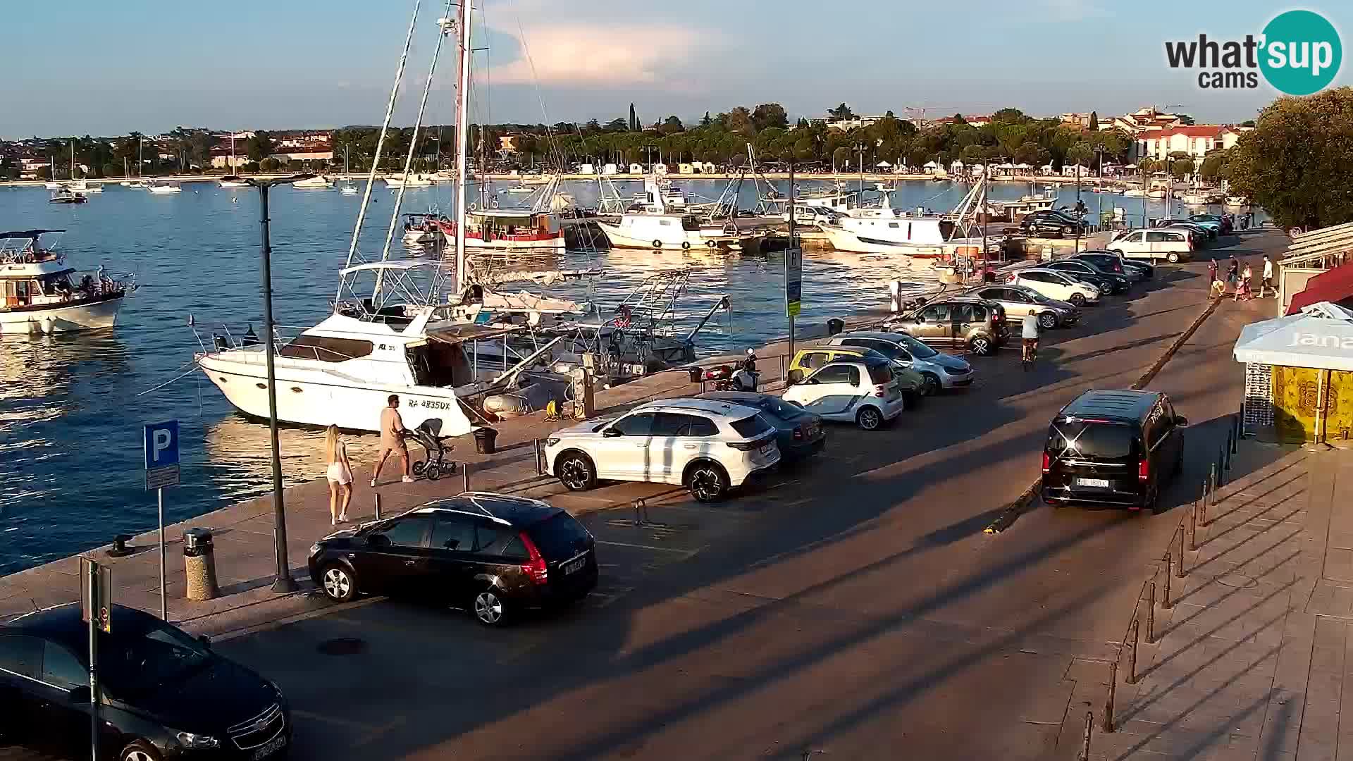 Trg Svobode – Kamera u živo Umag