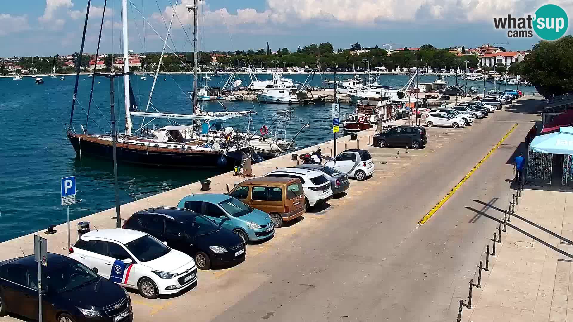 Webcam Umag – Puerto
