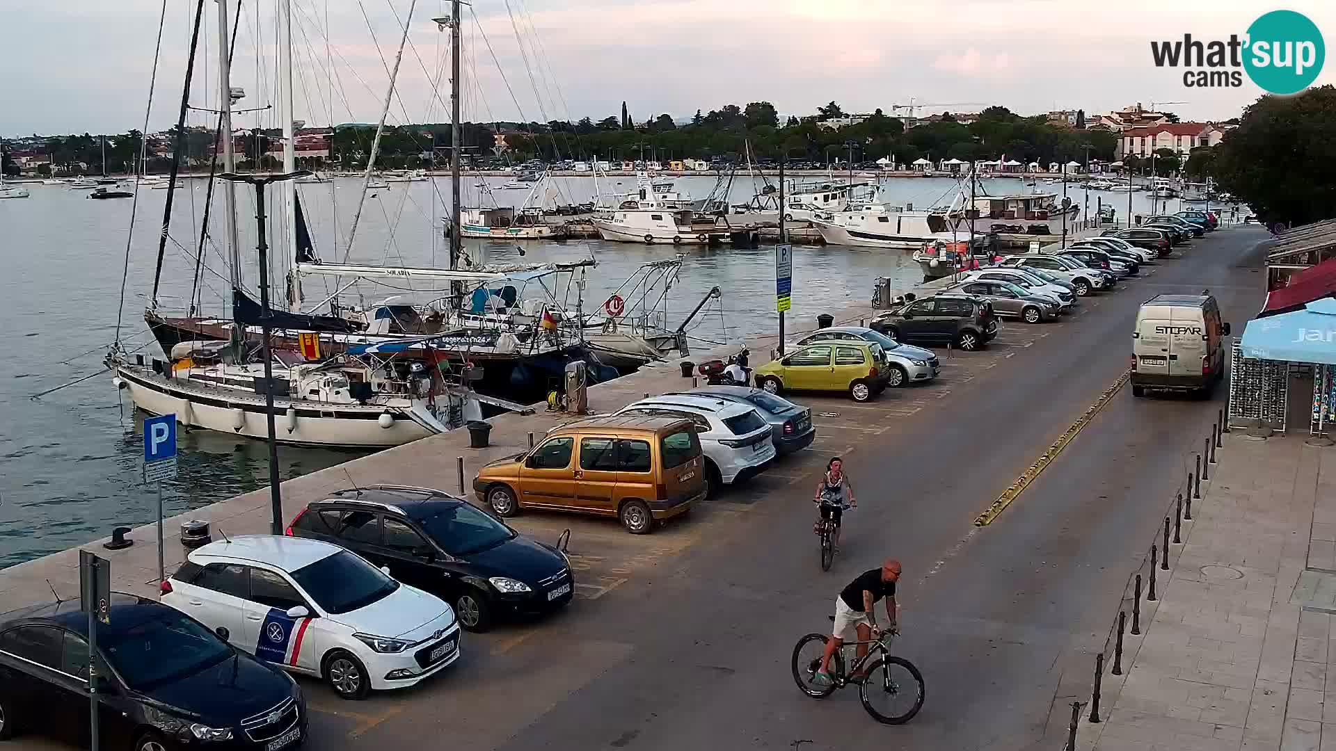 Webcam live Umag – Hafen
