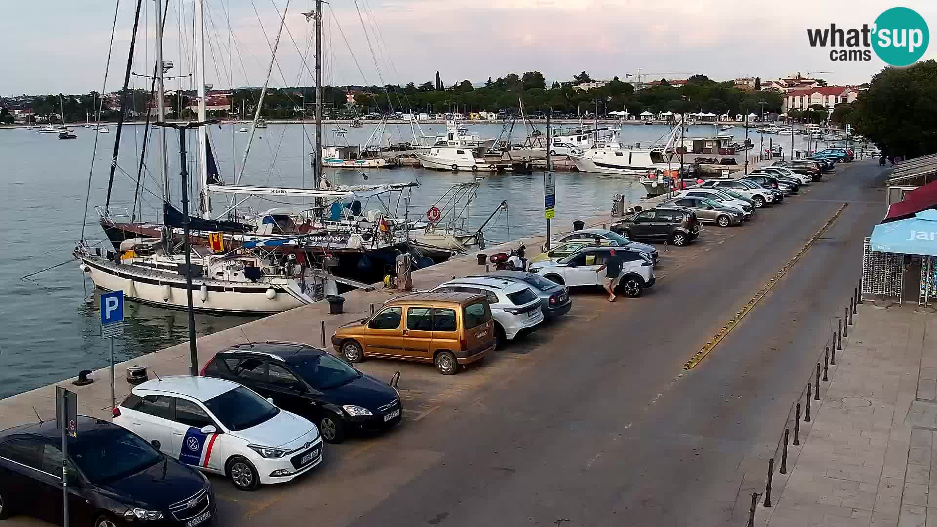 Webcam live Umag – port