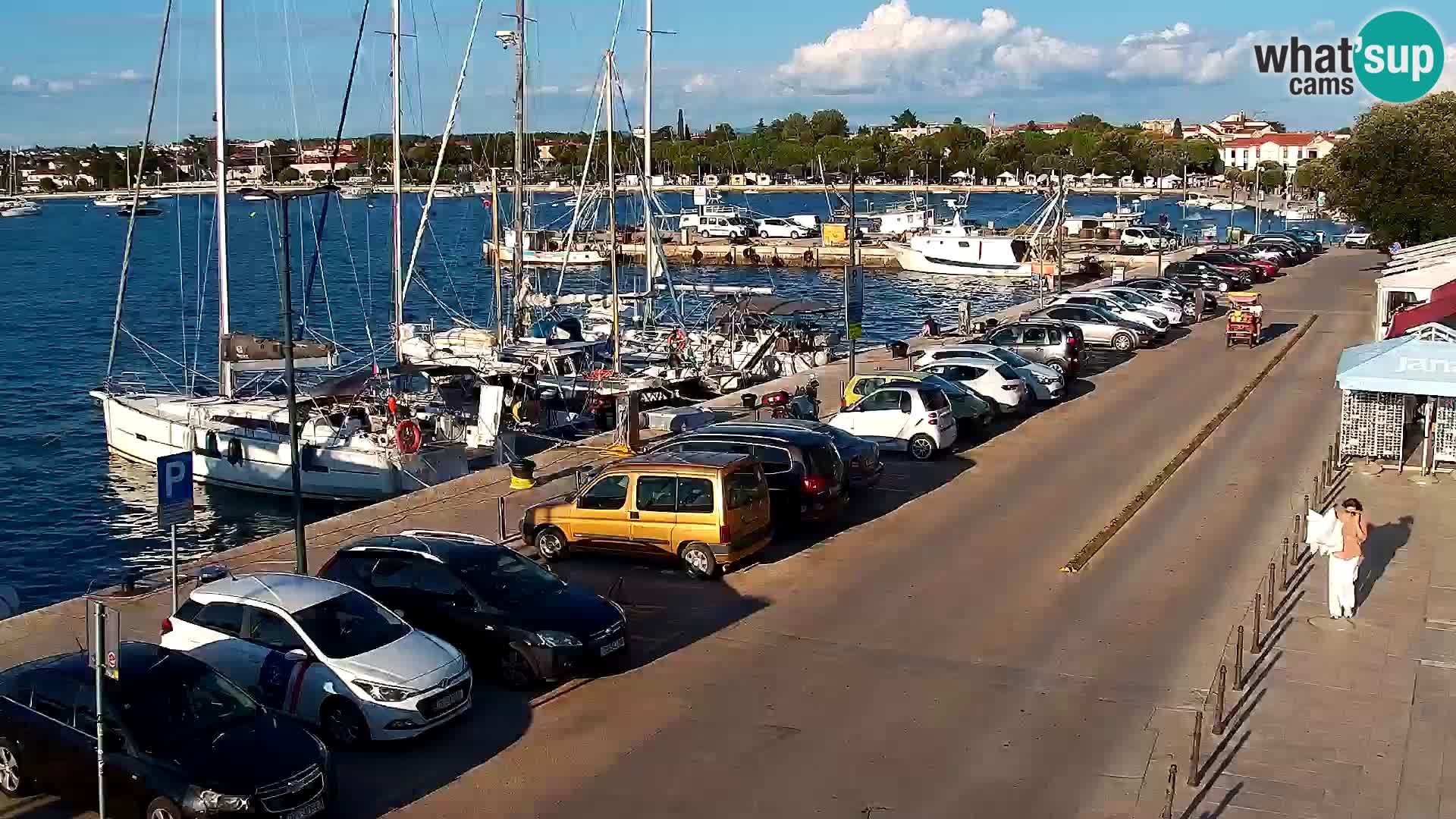 Trg Svobode – Kamera v živo Umag