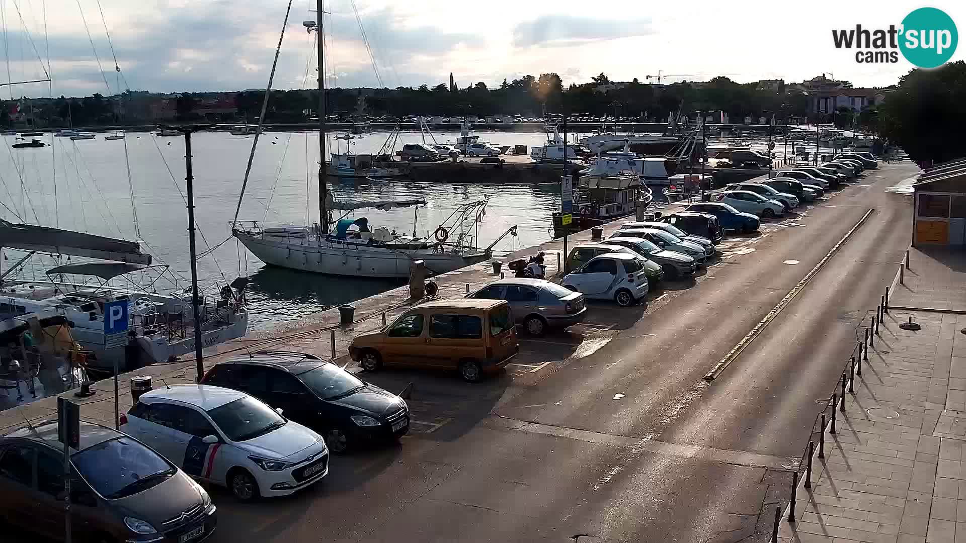 Trg Svobode – Kamera u živo Umag