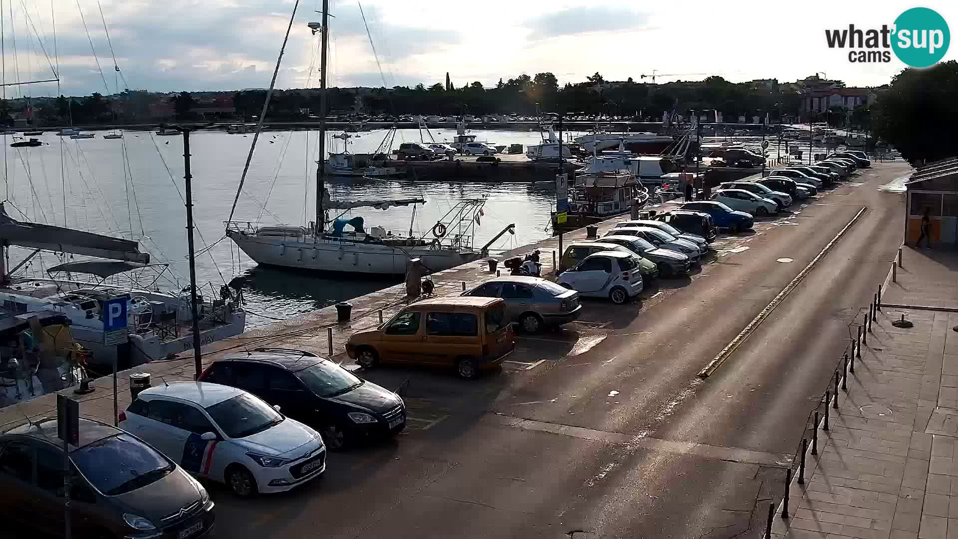 Webcam Umag – Puerto