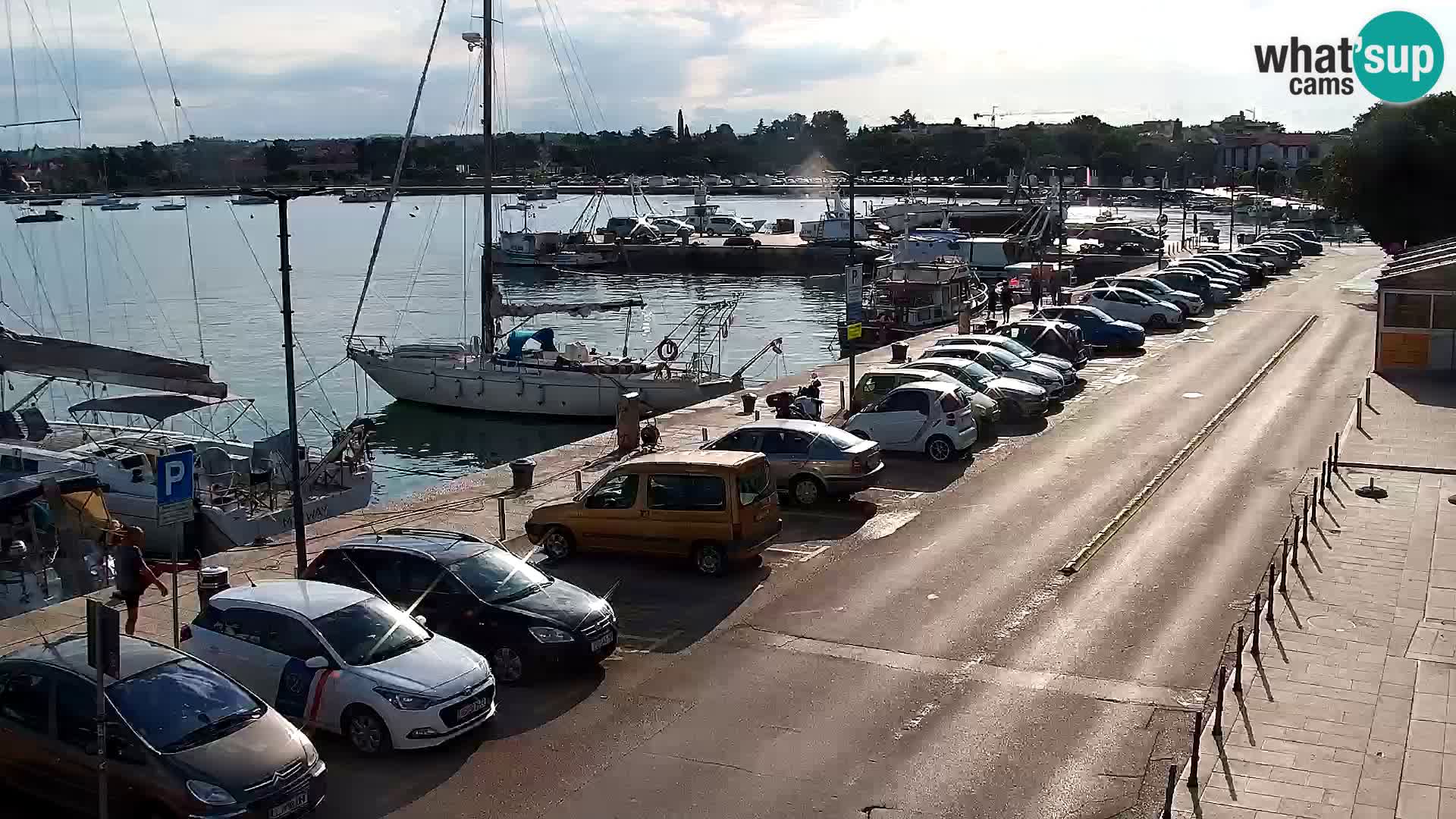 Webcam live Umag – Hafen