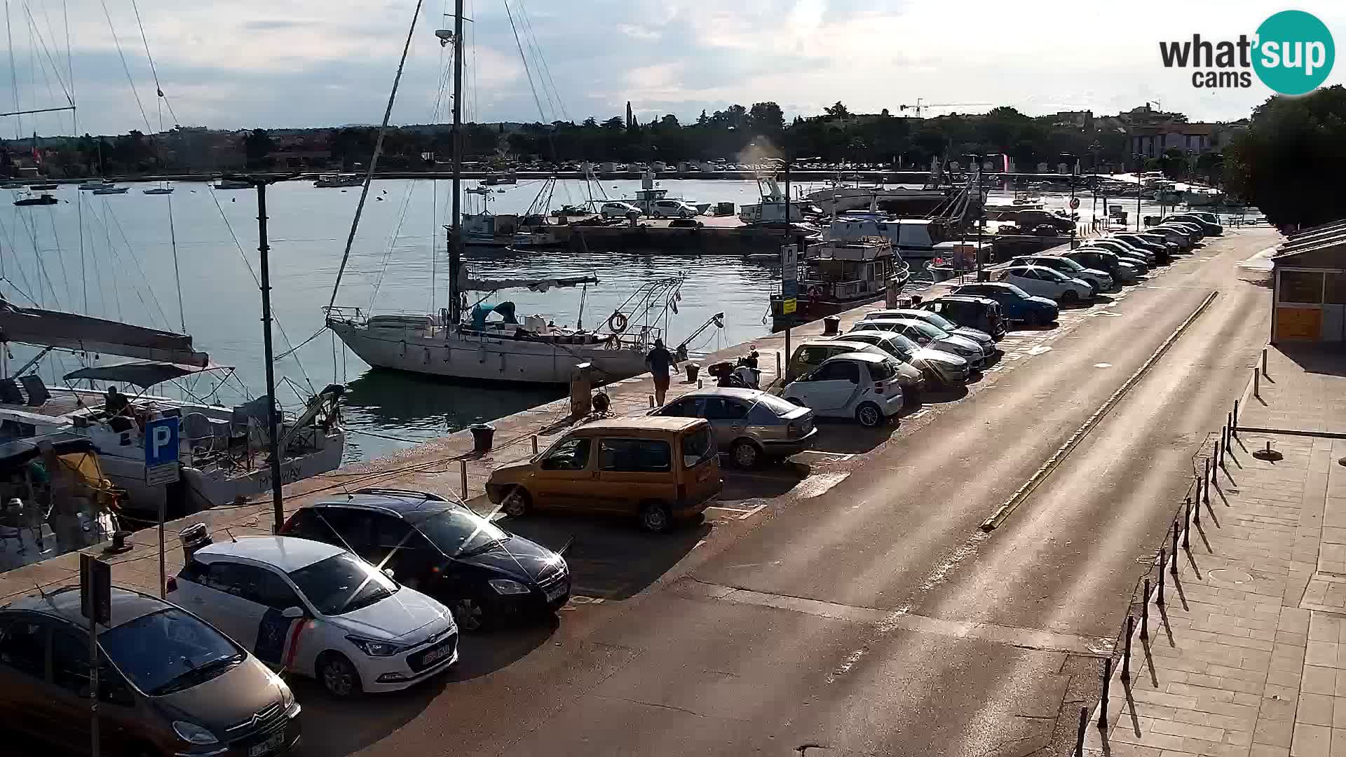 Trg Svobode – Kamera u živo Umag