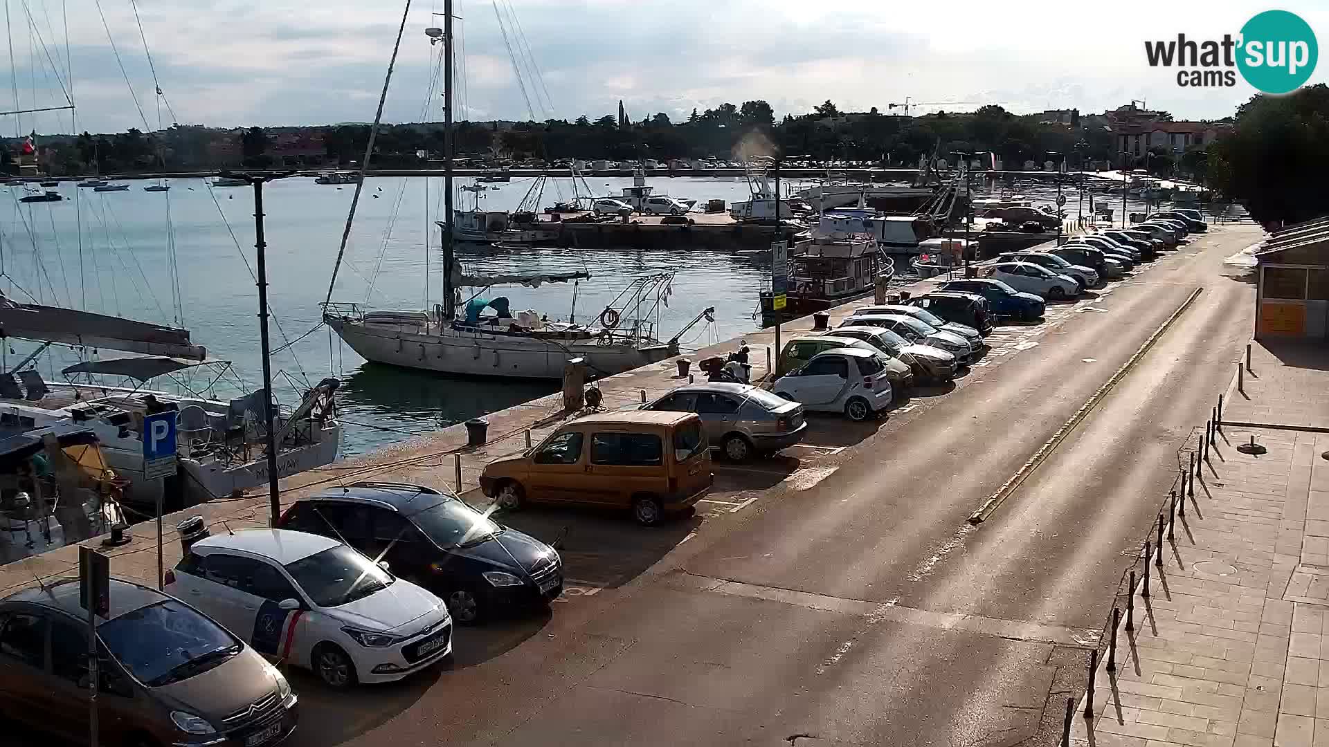 Trg Svobode – Kamera u živo Umag