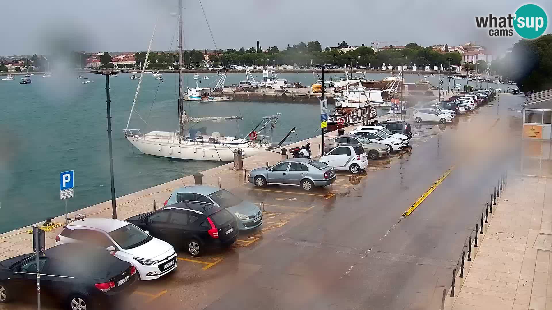 Live webcam Umag – Harbour