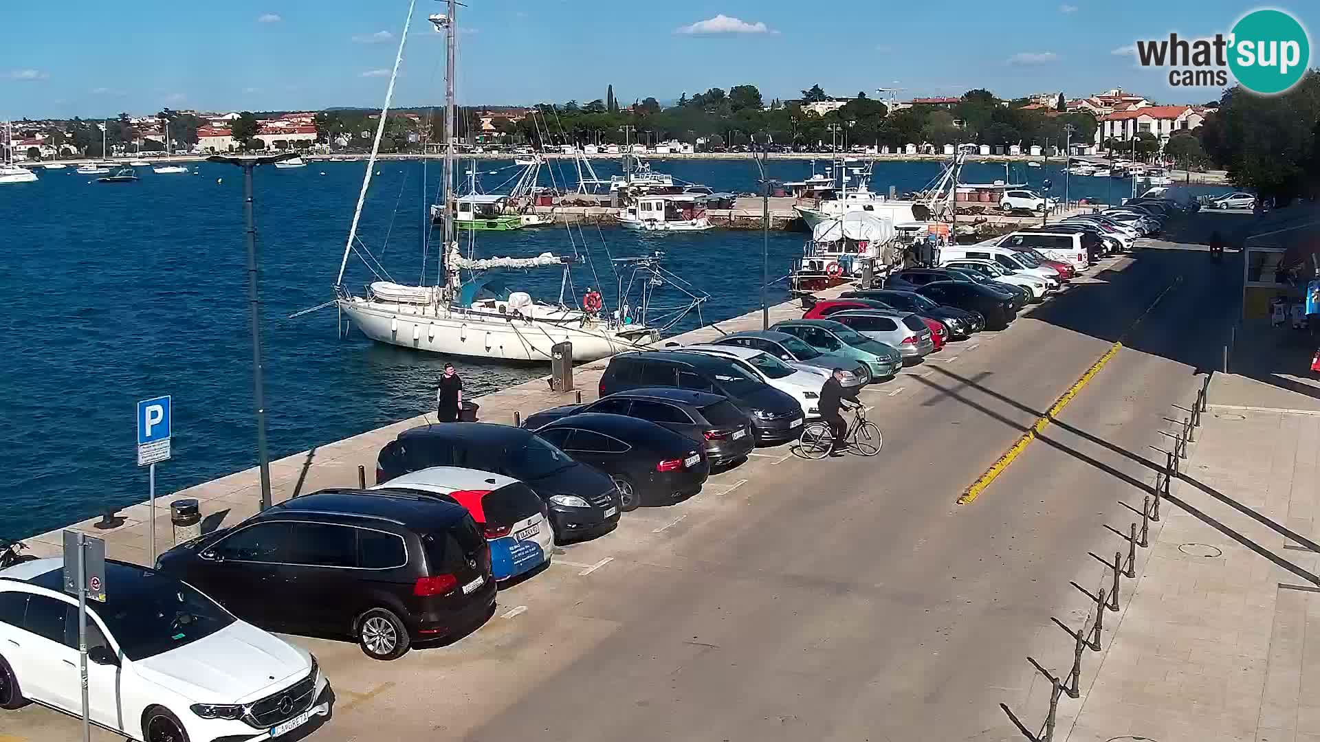 Trg Svobode – Kamera u živo Umag