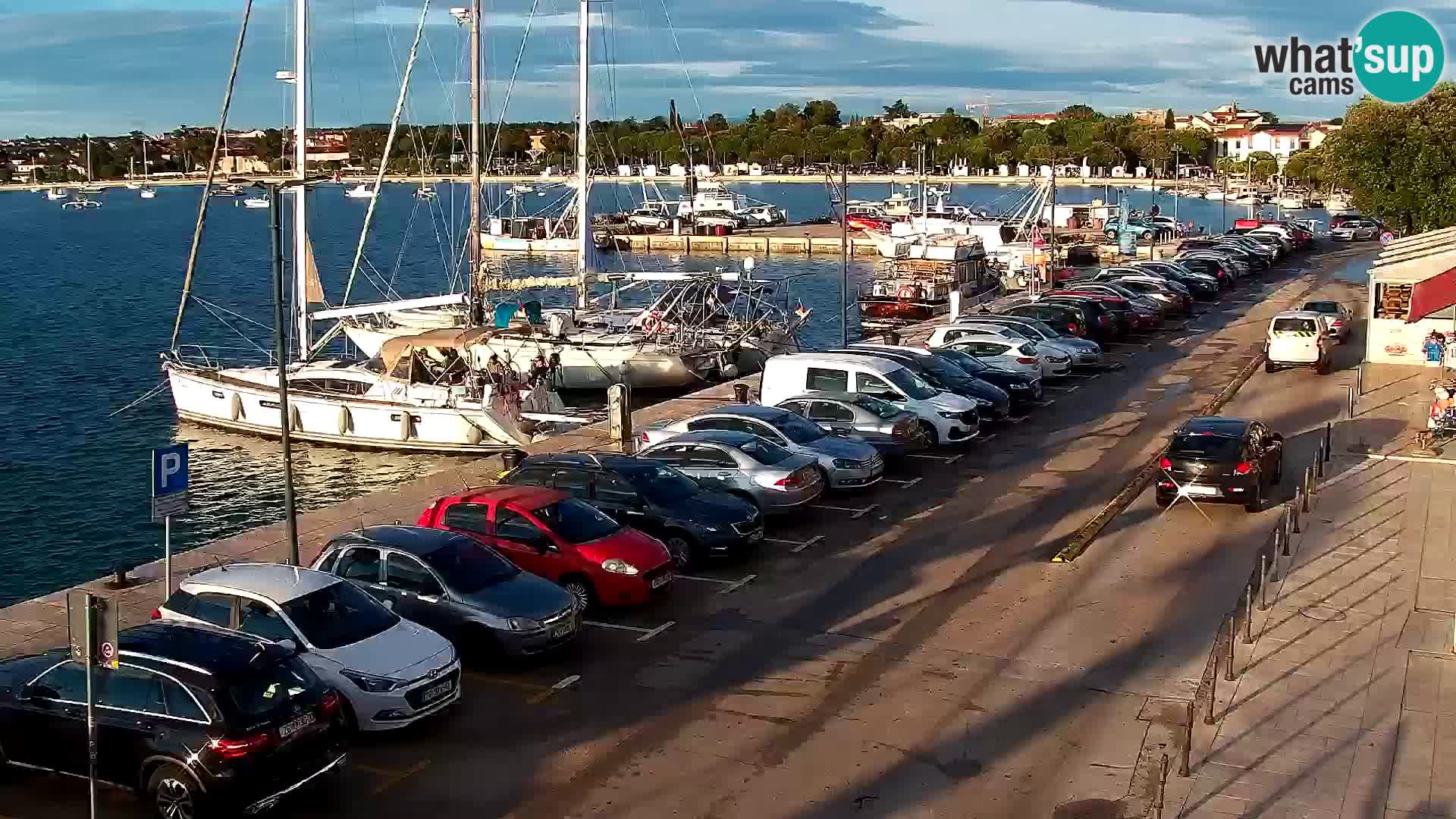 Webcam live Umag – Hafen