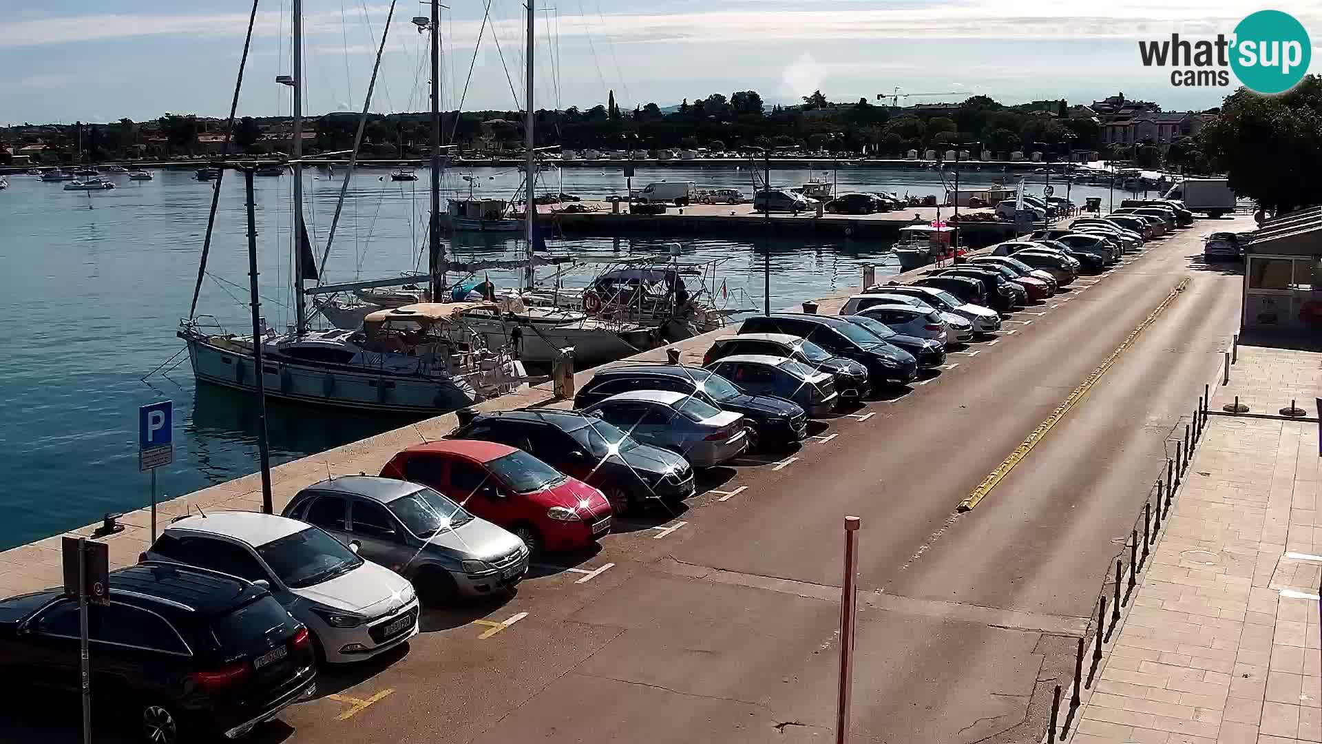 Trg Svobode – Kamera v živo Umag