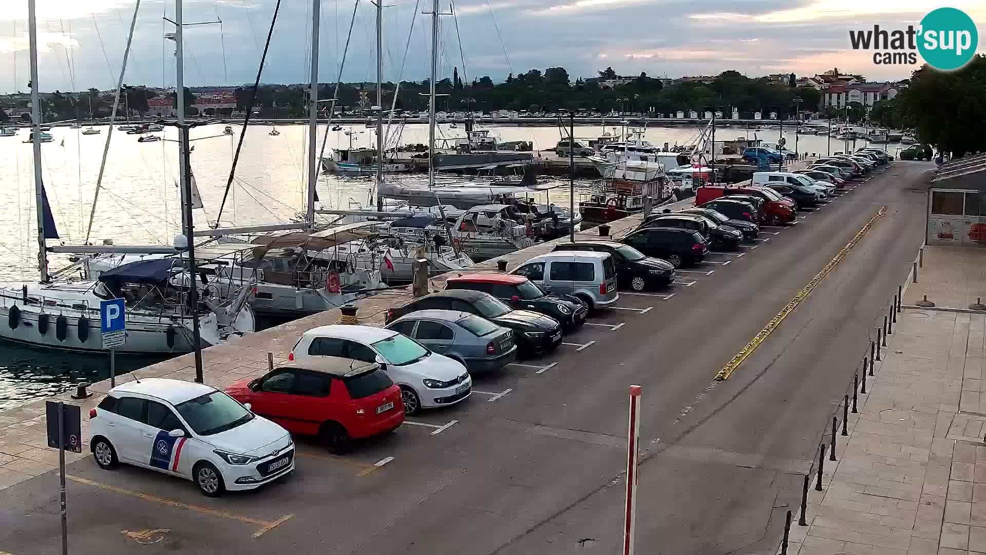 Live webcam Umag – Harbour