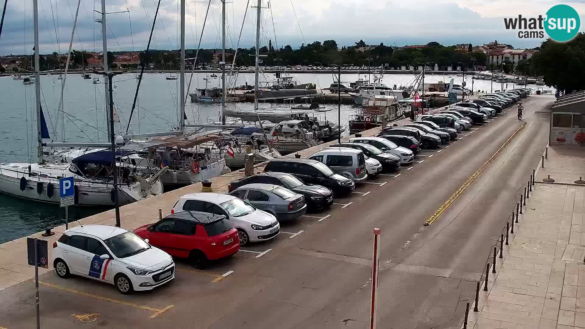 Webcam Umag – Puerto
