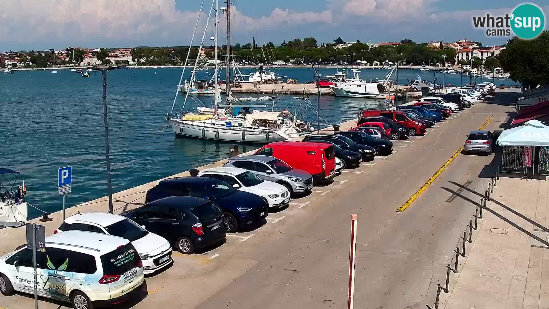 Webcam Umag – Puerto
