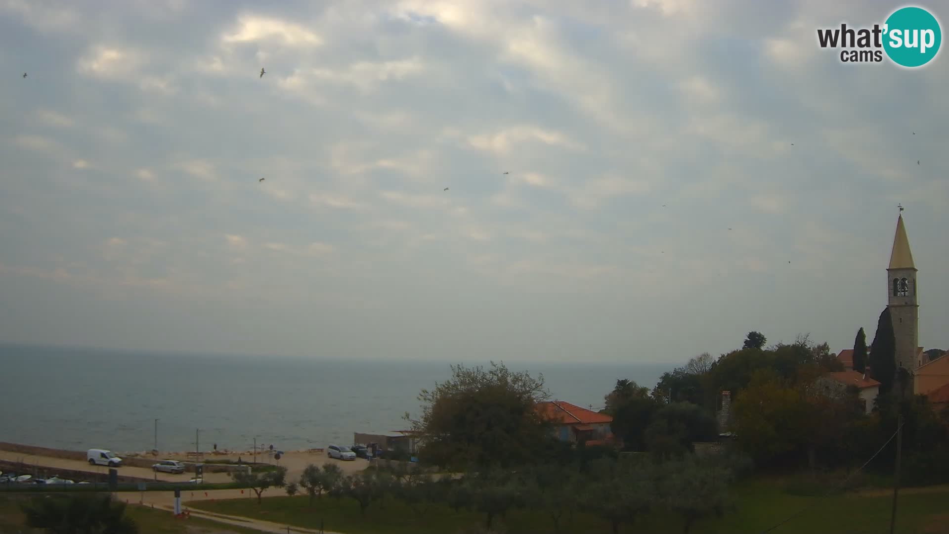 Umag Live webcam Lovrečica / San Lorenzo – Istria – Croatia