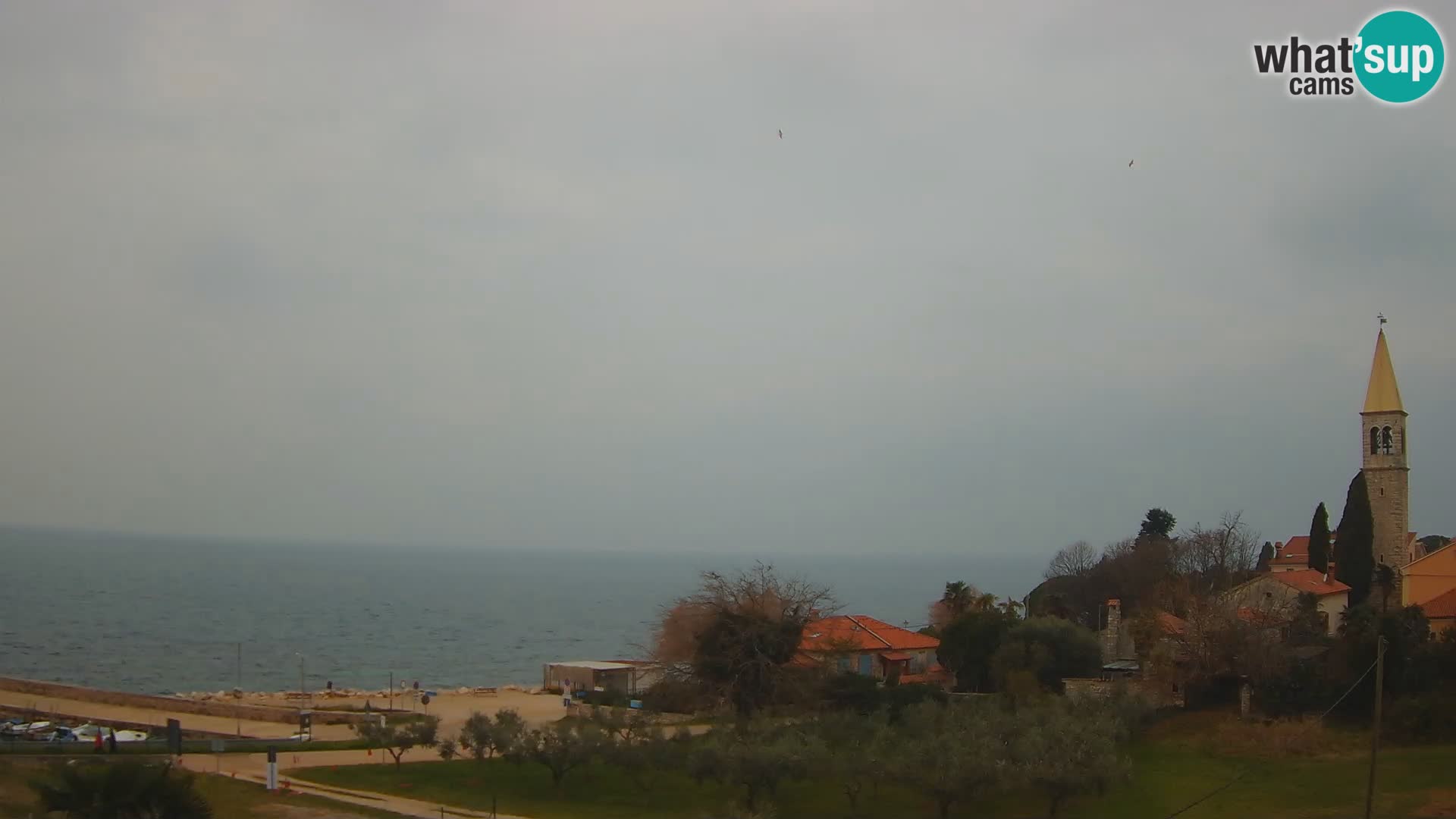 Umag Live webcam Lovrečica / San Lorenzo – Istria – Croatia