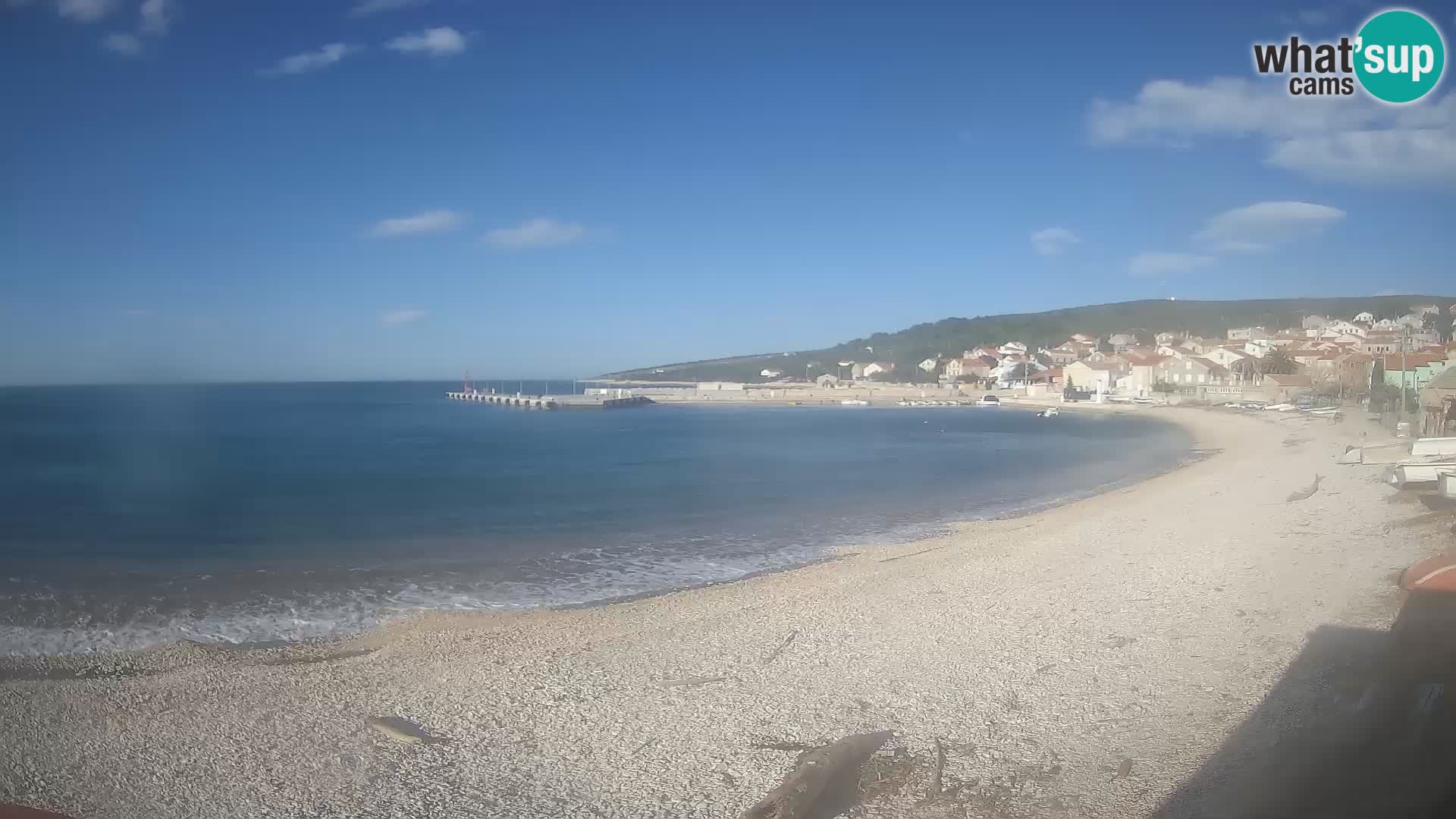 Unije camera en vivo playa