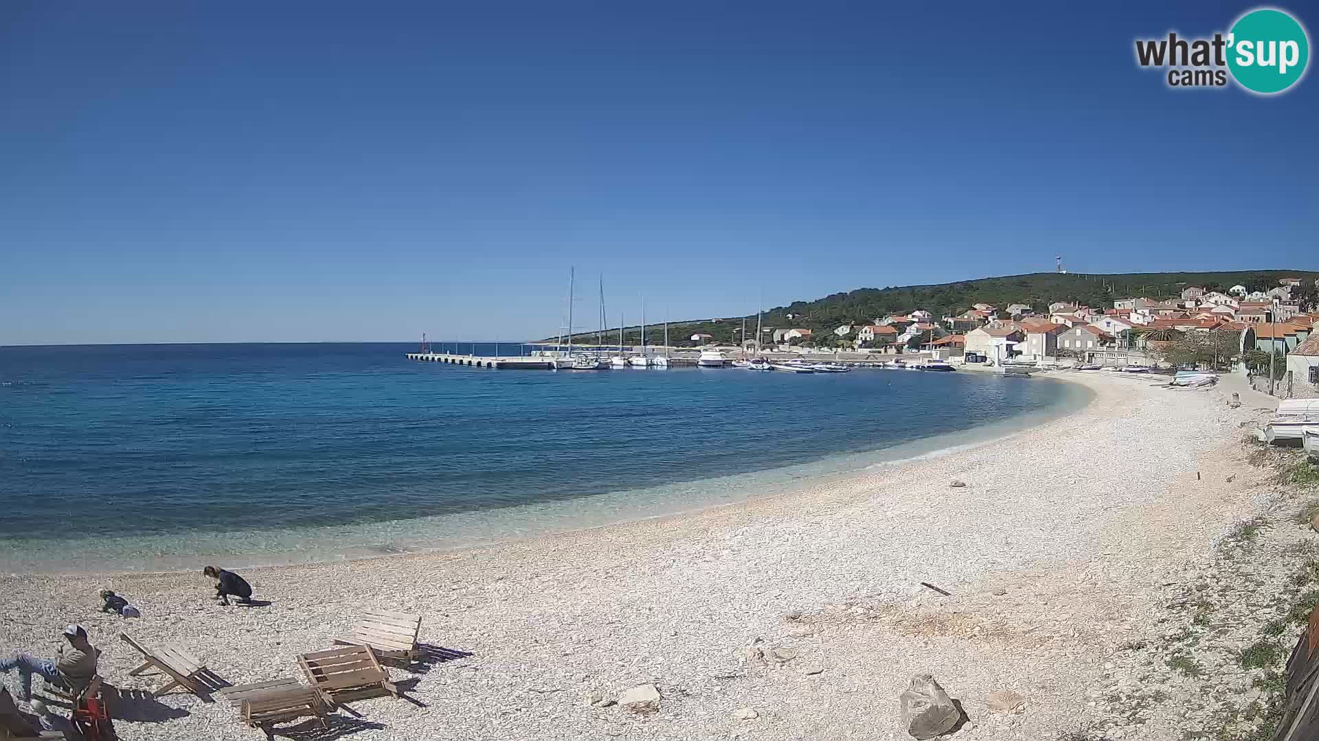 Webcam Unije