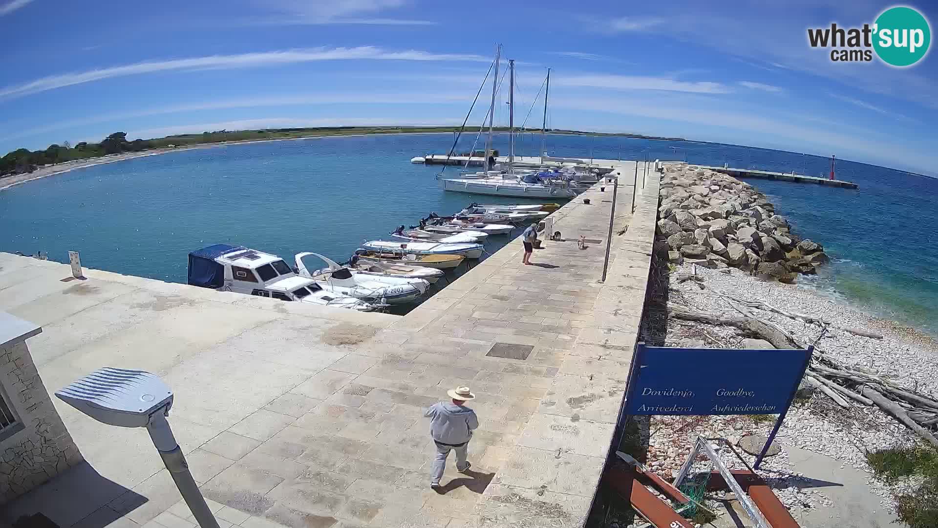 Webcam Isola di Unije – Esplora la bellezza della gemma nascosta della Croazia