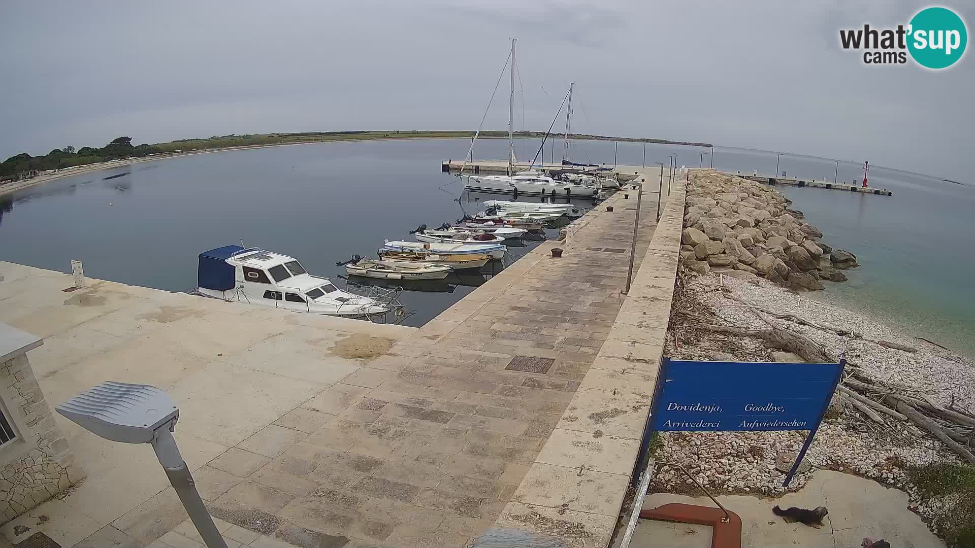 Unije Island Webcam – Explore the Beauty of Croatia’s Hidden Gem