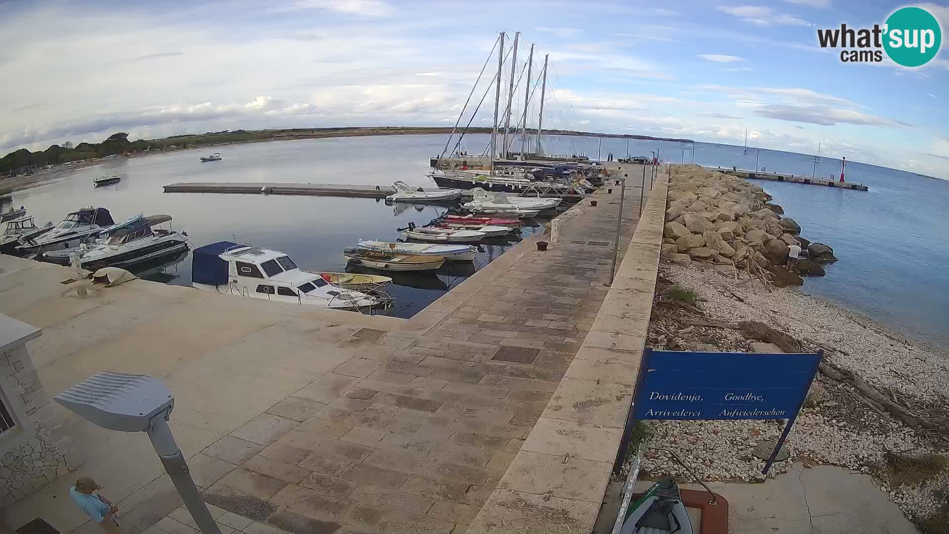 Cámara web de la isla de Unije: explore la belleza de la joya escondida de Croacia