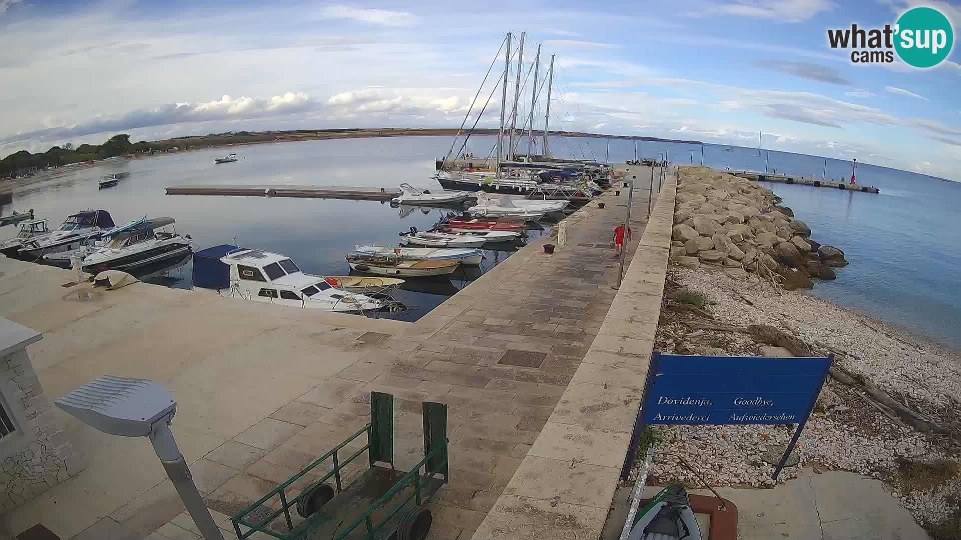 Webcam Isola di Unije – Esplora la bellezza della gemma nascosta della Croazia