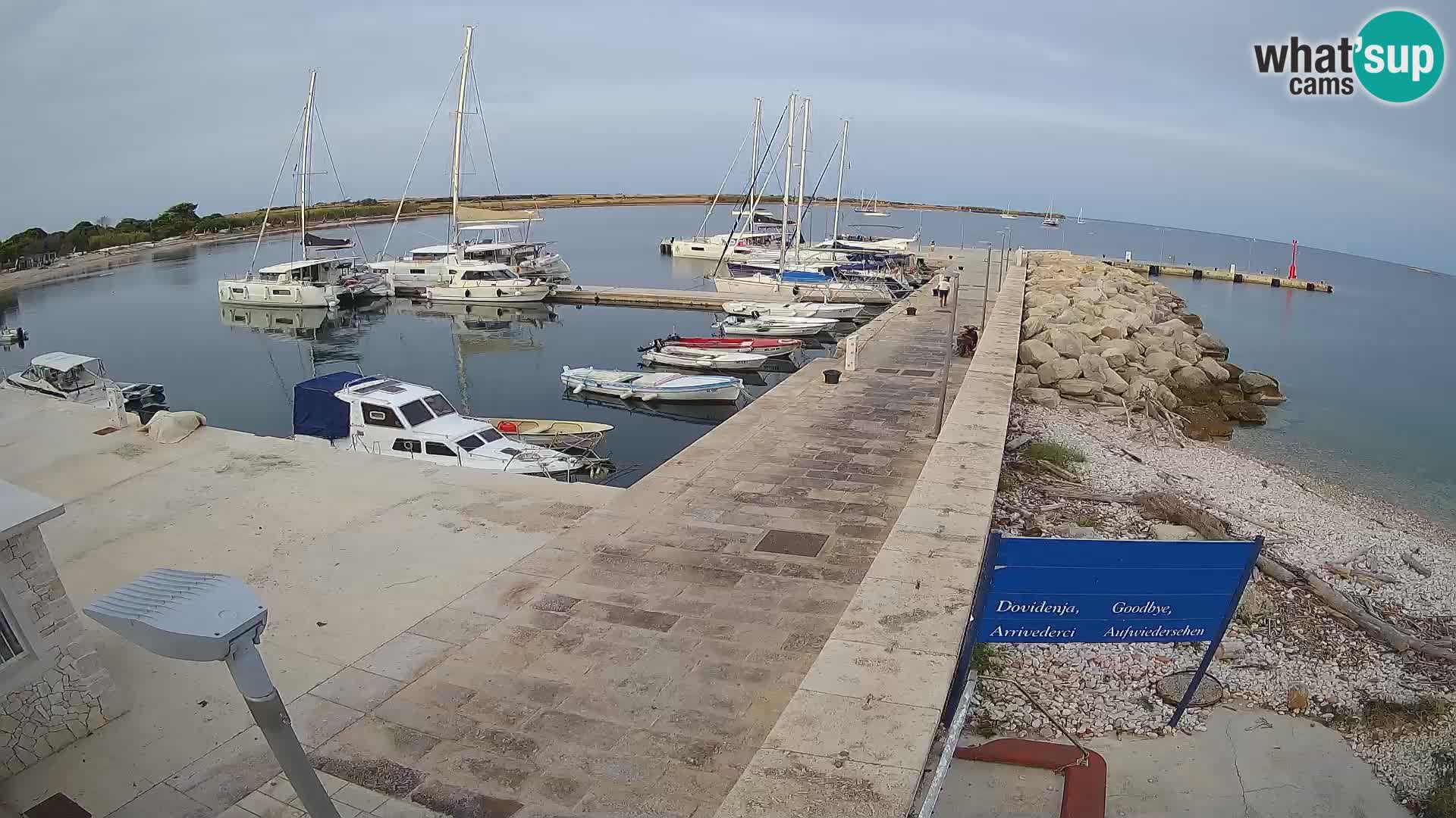 Webcam Isola di Unije – Esplora la bellezza della gemma nascosta della Croazia