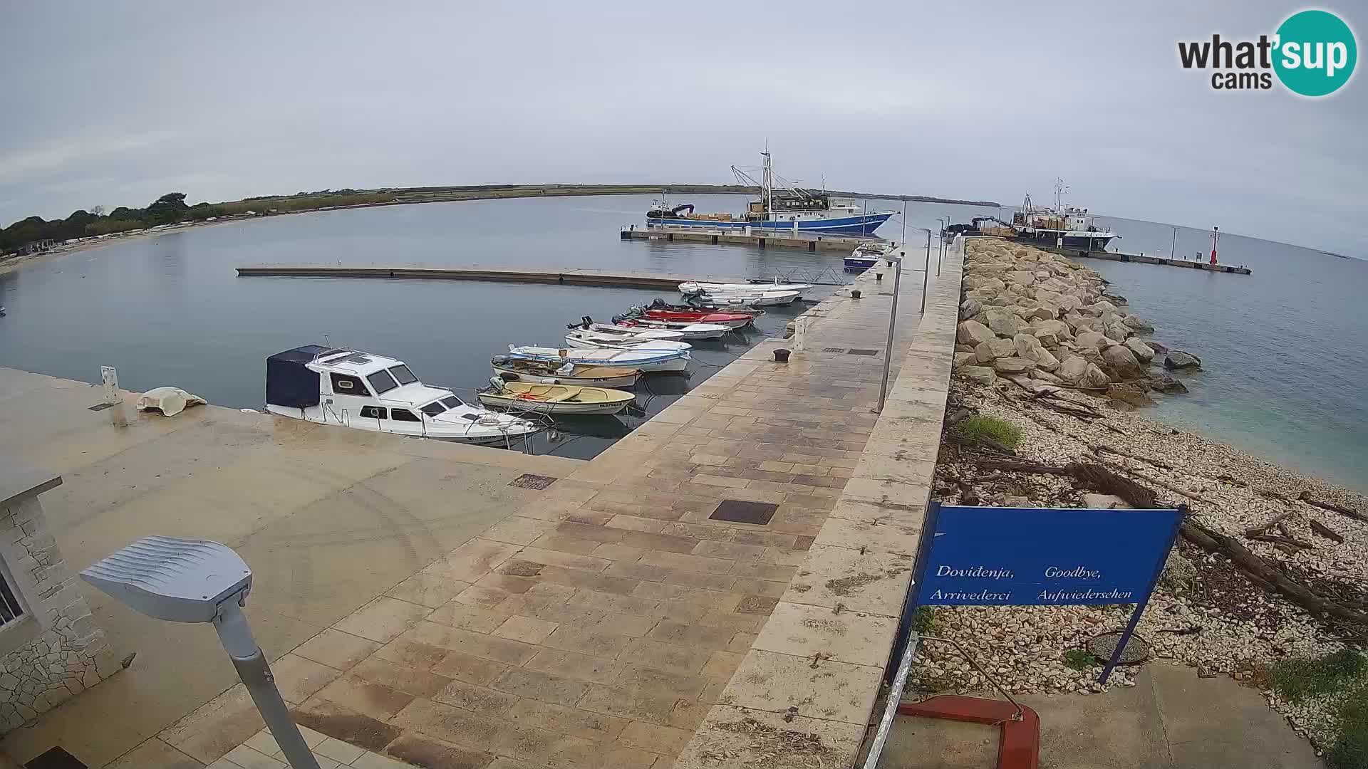 Webcam Isola di Unije – Esplora la bellezza della gemma nascosta della Croazia