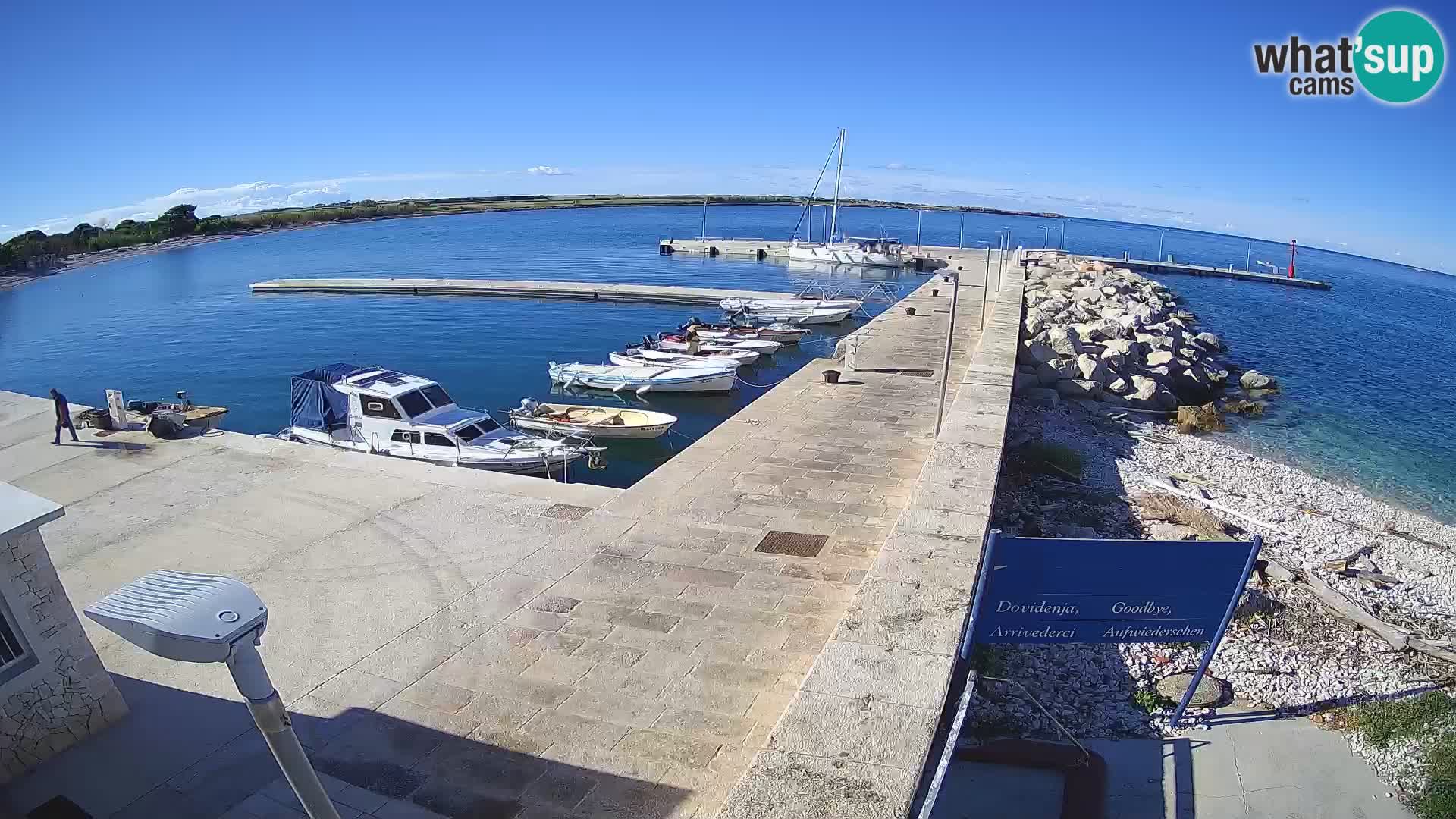 Cámara web de la isla de Unije: explore la belleza de la joya escondida de Croacia