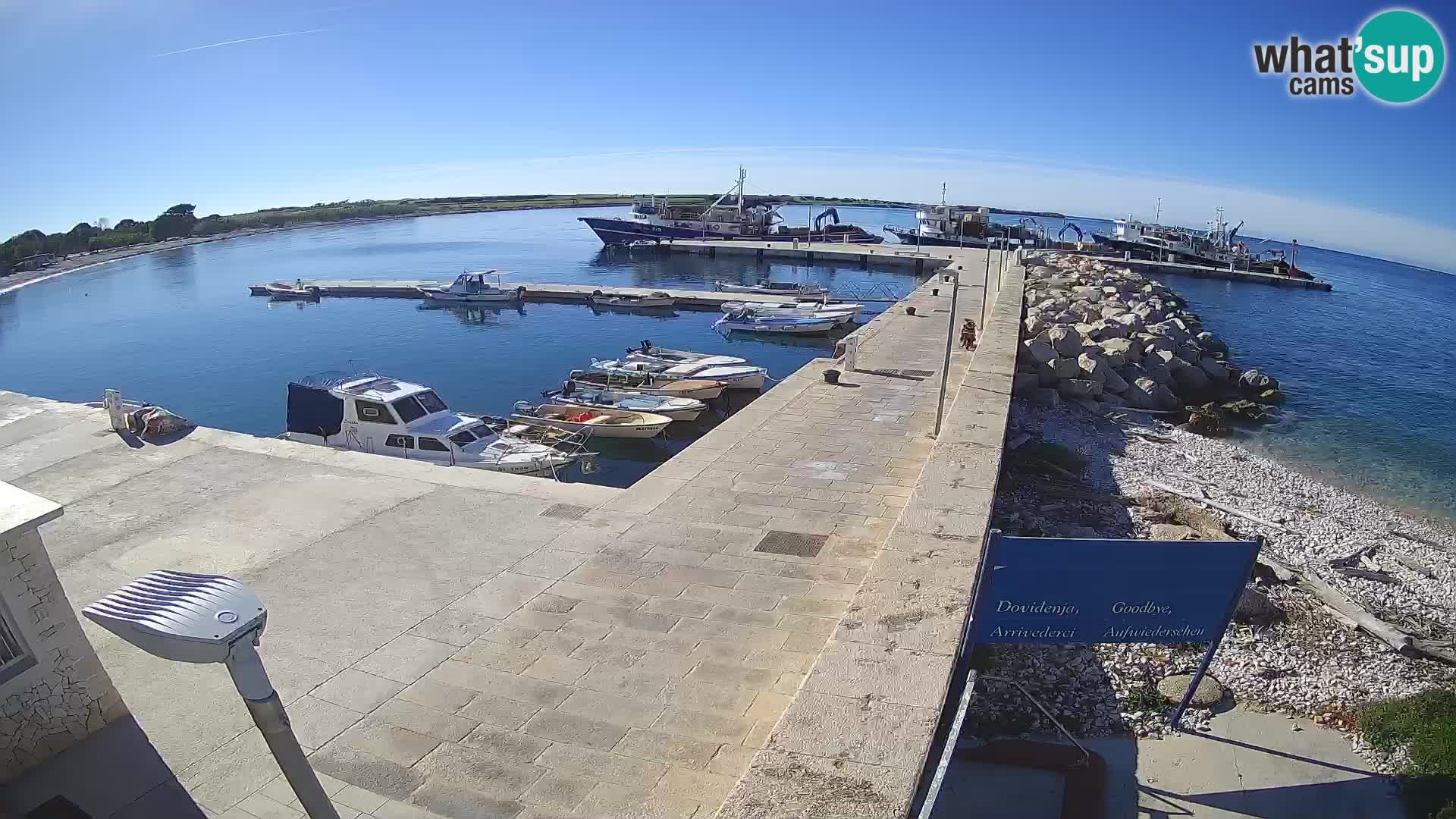 Webcam de l’île d’Unije – Explorez la beauté du joyau caché de la Croatie