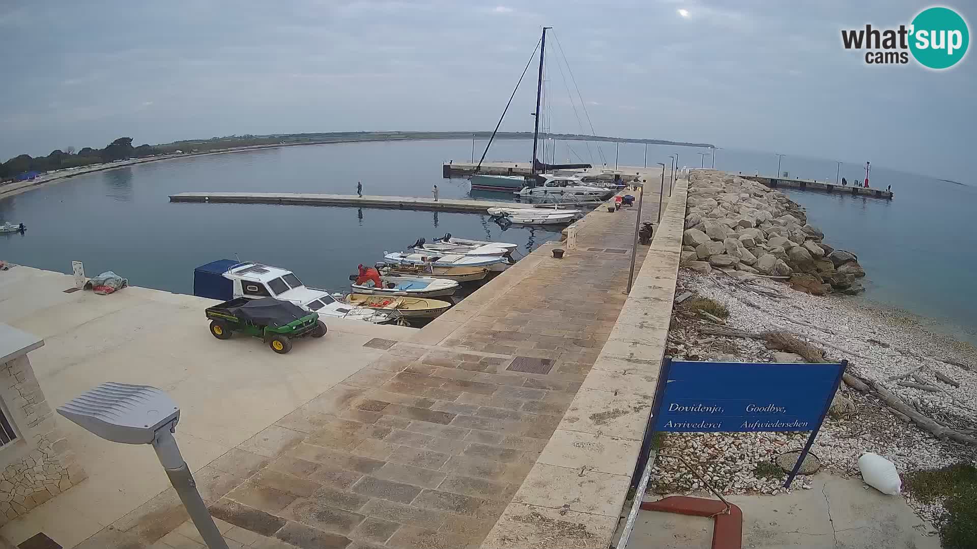 Webcam de l’île d’Unije – Explorez la beauté du joyau caché de la Croatie