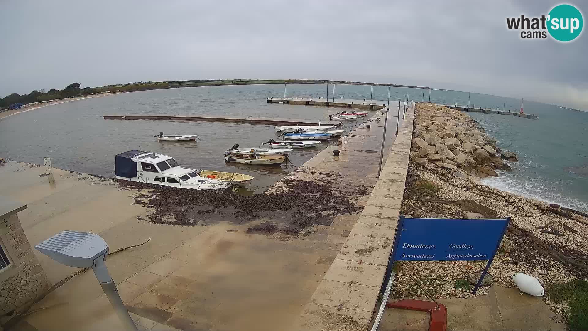 Webcam Isola di Unije – Esplora la bellezza della gemma nascosta della Croazia